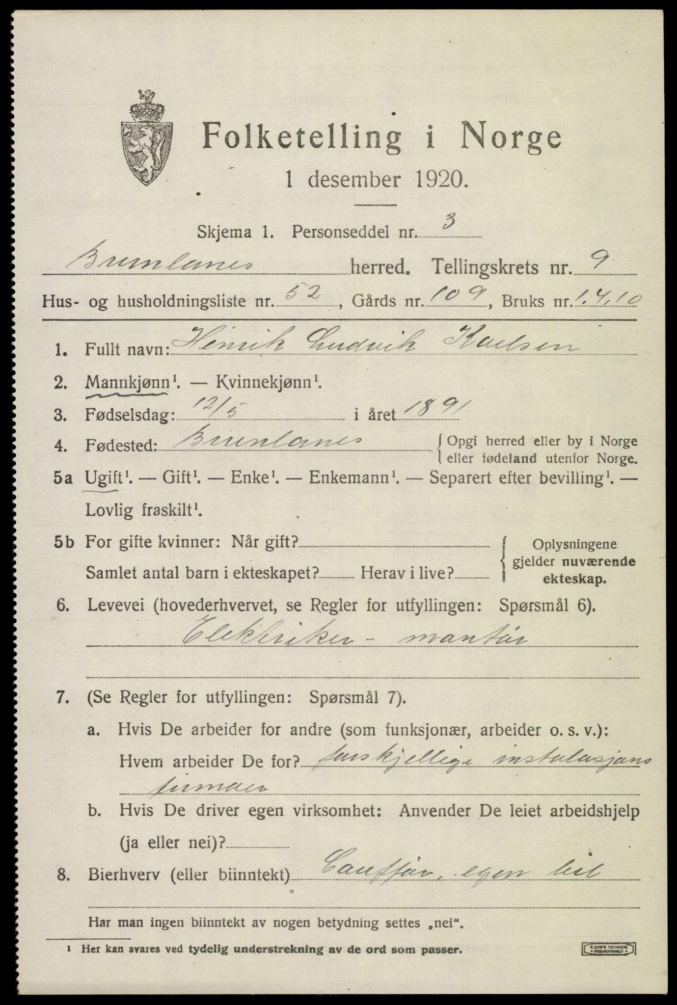 SAKO, 1920 census for Brunlanes, 1920, p. 8351