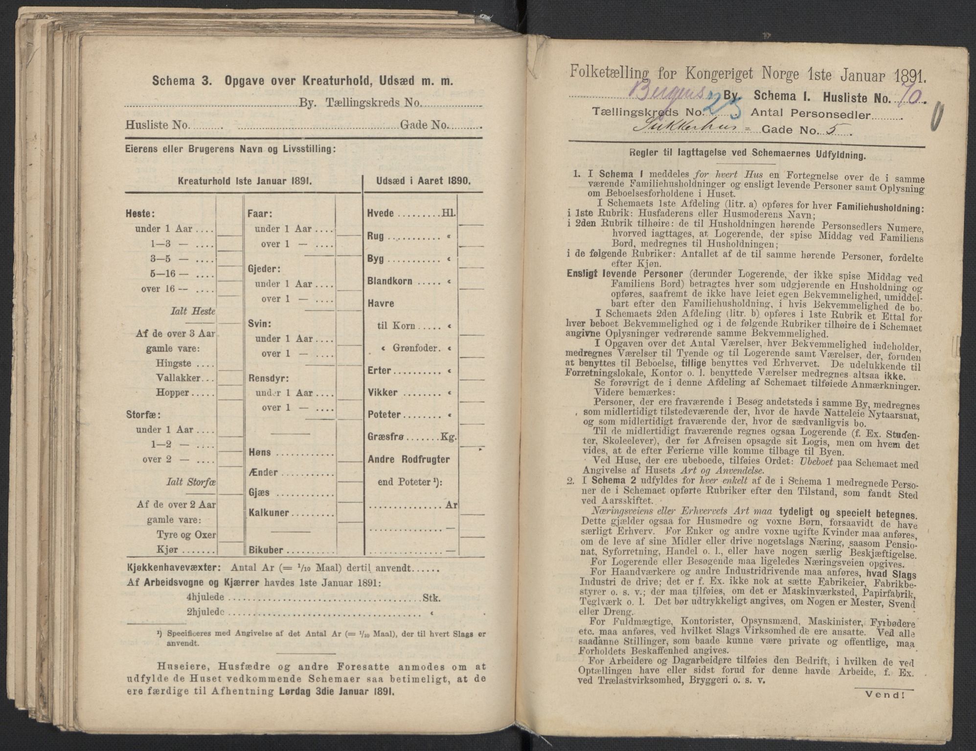 RA, 1891 Census for 1301 Bergen, 1891, p. 3779