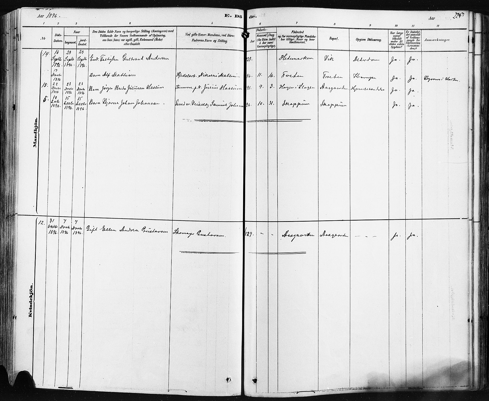 Borre kirkebøker, AV/SAKO-A-338/F/Fa/L0009: Parish register (official) no. I 9, 1878-1896, p. 225