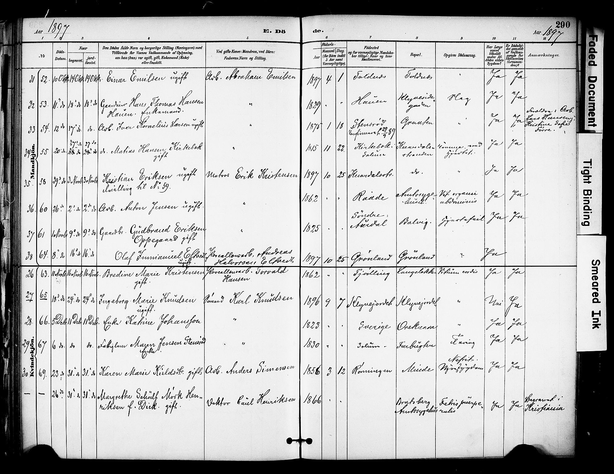 Solum kirkebøker, SAKO/A-306/F/Fa/L0010: Parish register (official) no. I 10, 1888-1898, p. 290