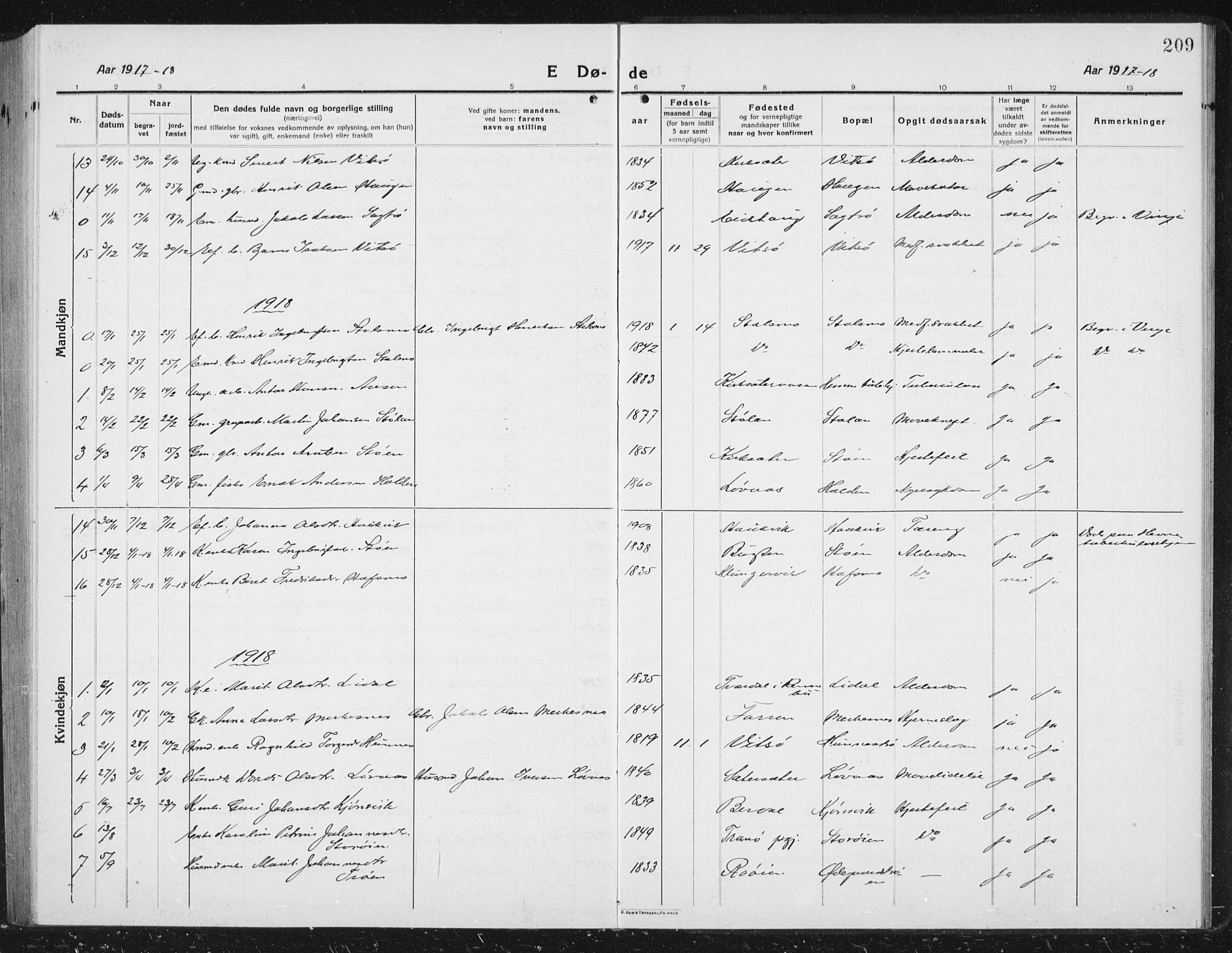 Ministerialprotokoller, klokkerbøker og fødselsregistre - Sør-Trøndelag, AV/SAT-A-1456/630/L0506: Parish register (copy) no. 630C04, 1914-1933, p. 209