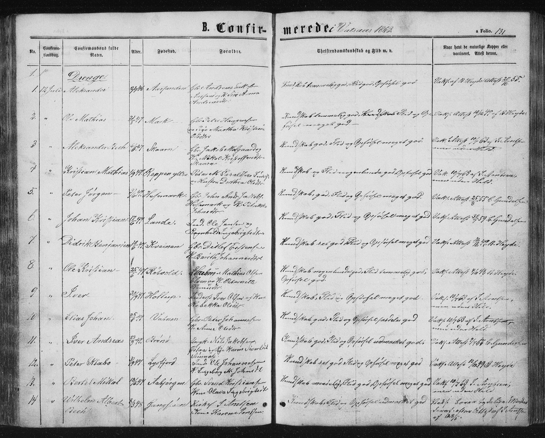 Ministerialprotokoller, klokkerbøker og fødselsregistre - Nordland, AV/SAT-A-1459/810/L0158: Parish register (copy) no. 810C02 /1, 1863-1883, p. 131