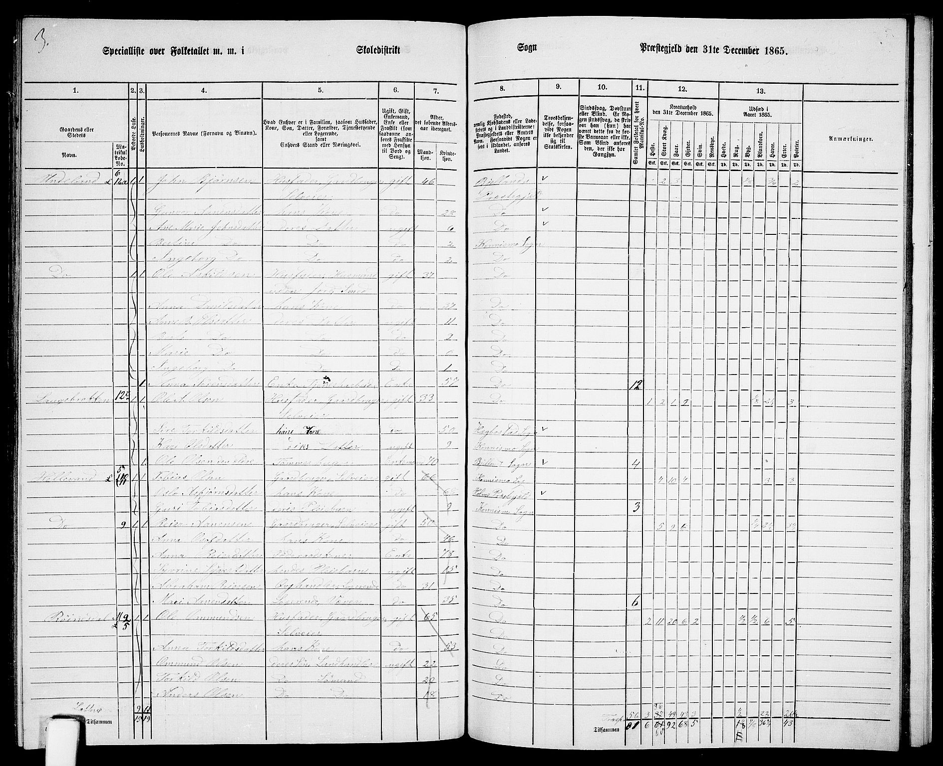 RA, 1865 census for Nord-Audnedal, 1865, p. 99