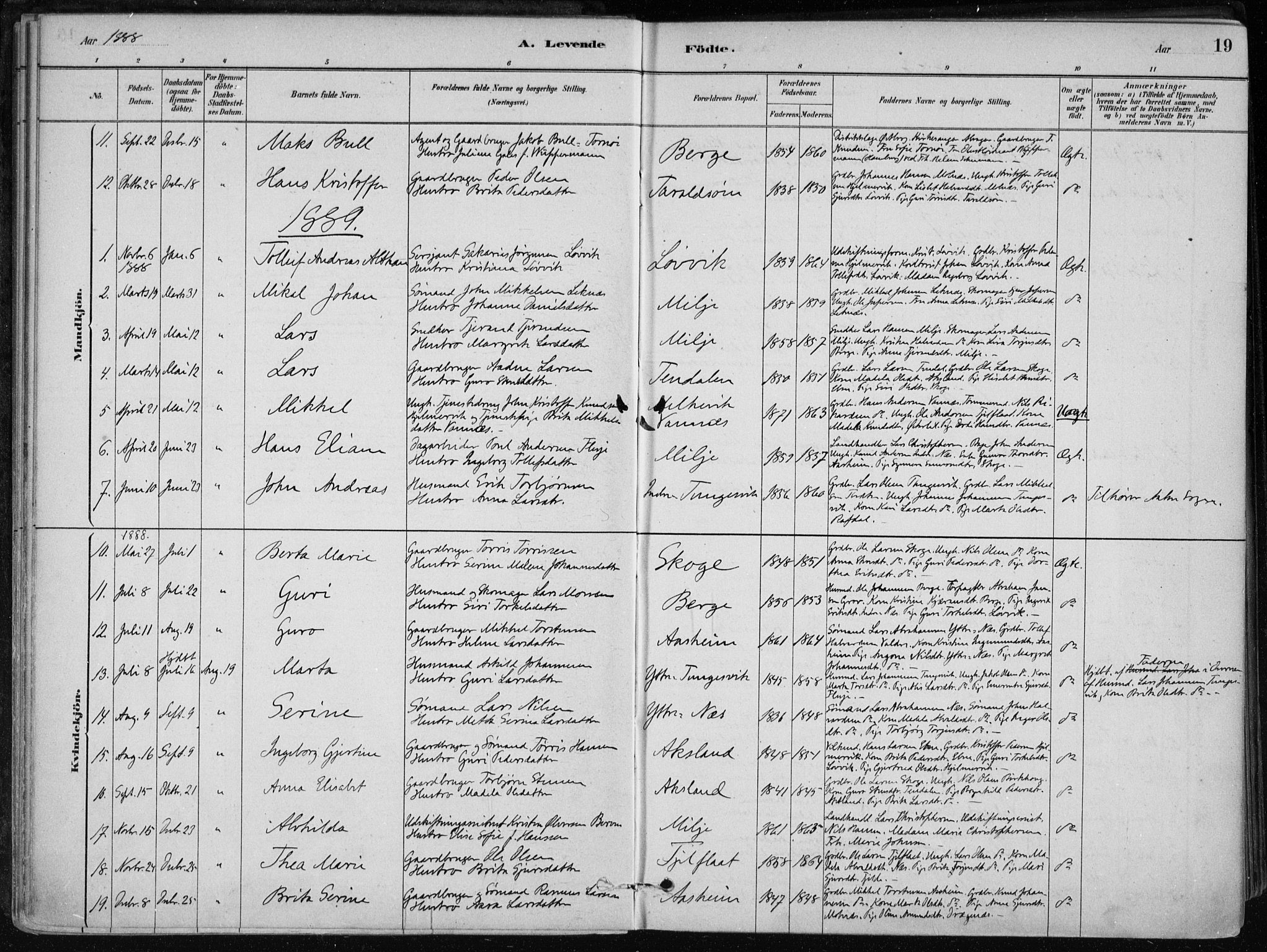 Skånevik sokneprestembete, SAB/A-77801/H/Haa: Parish register (official) no. B 1, 1879-1914, p. 19
