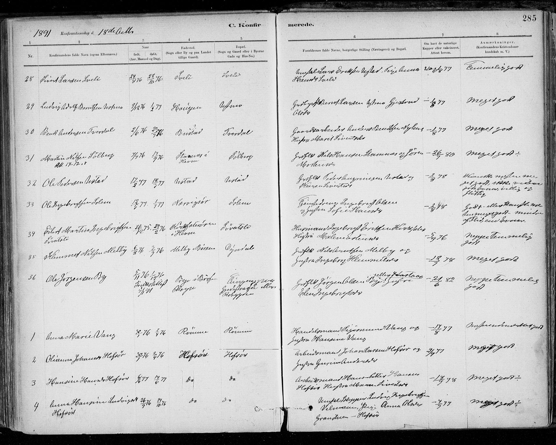 Ministerialprotokoller, klokkerbøker og fødselsregistre - Sør-Trøndelag, AV/SAT-A-1456/668/L0809: Parish register (official) no. 668A09, 1881-1895, p. 285