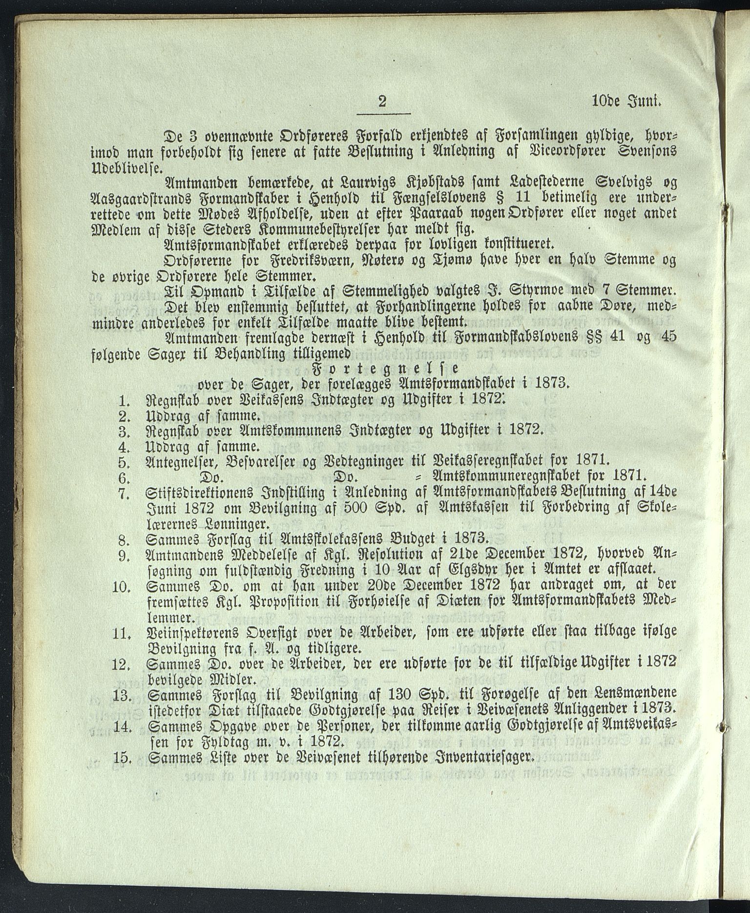 Vestfold fylkeskommune. Fylkestinget, VEMU/A-1315/A/Ab/Abb/L0019: Fylkestingsforhandlinger, 1873