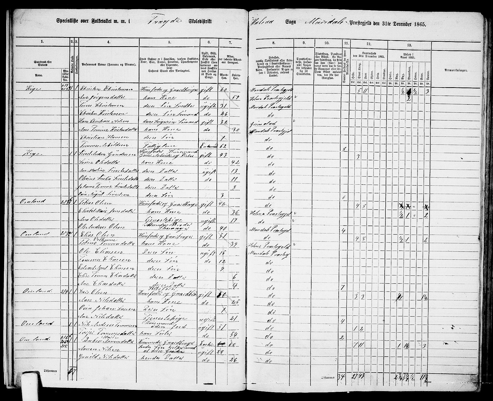 RA, 1865 census for Mandal/Halse og Harkmark, 1865, p. 22