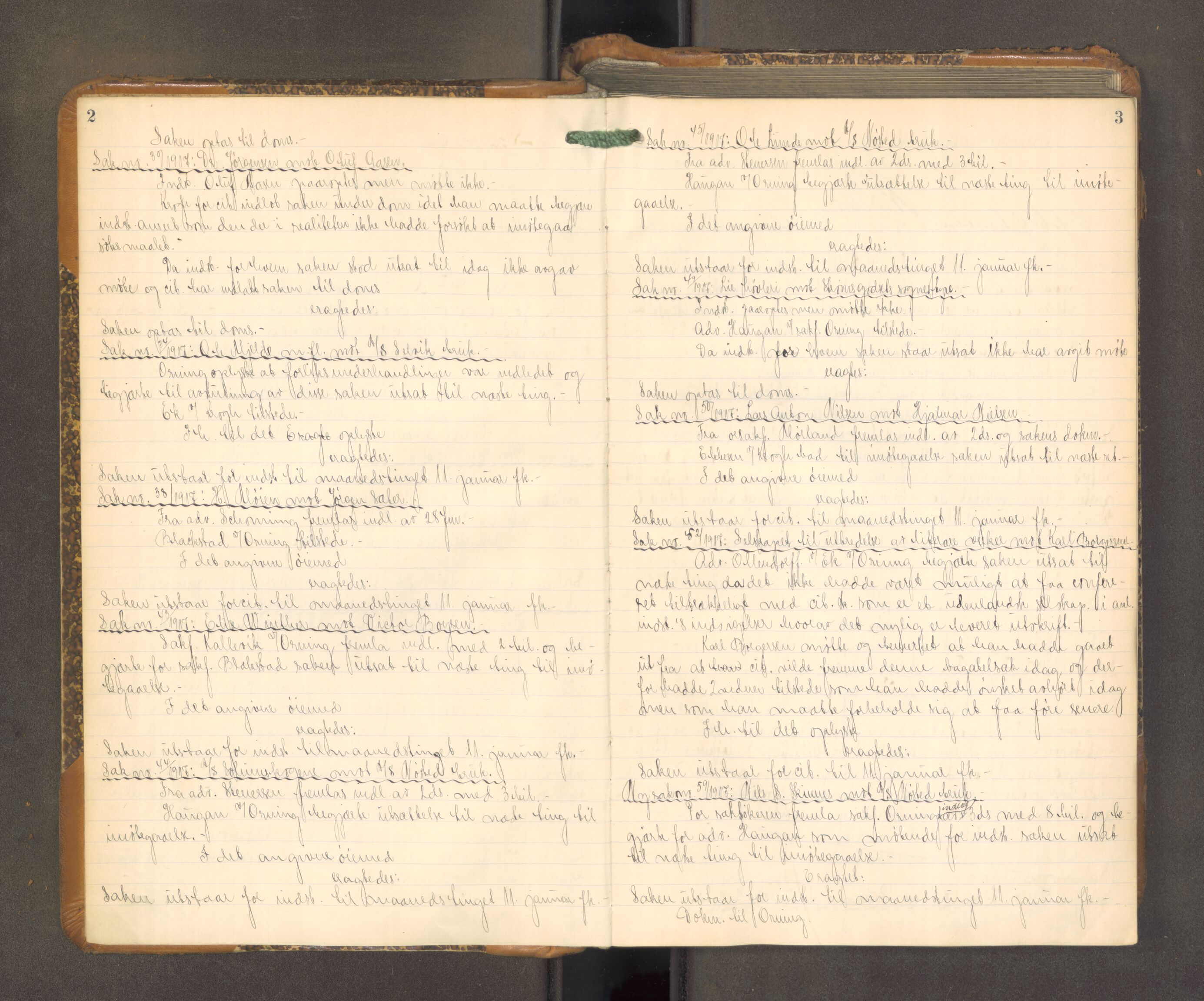 Nordre Jarlsberg sorenskriveri, AV/SAKO-A-80/F/Fa/Faa/L0056: Tingbok, 1917-1921, p. 2-3