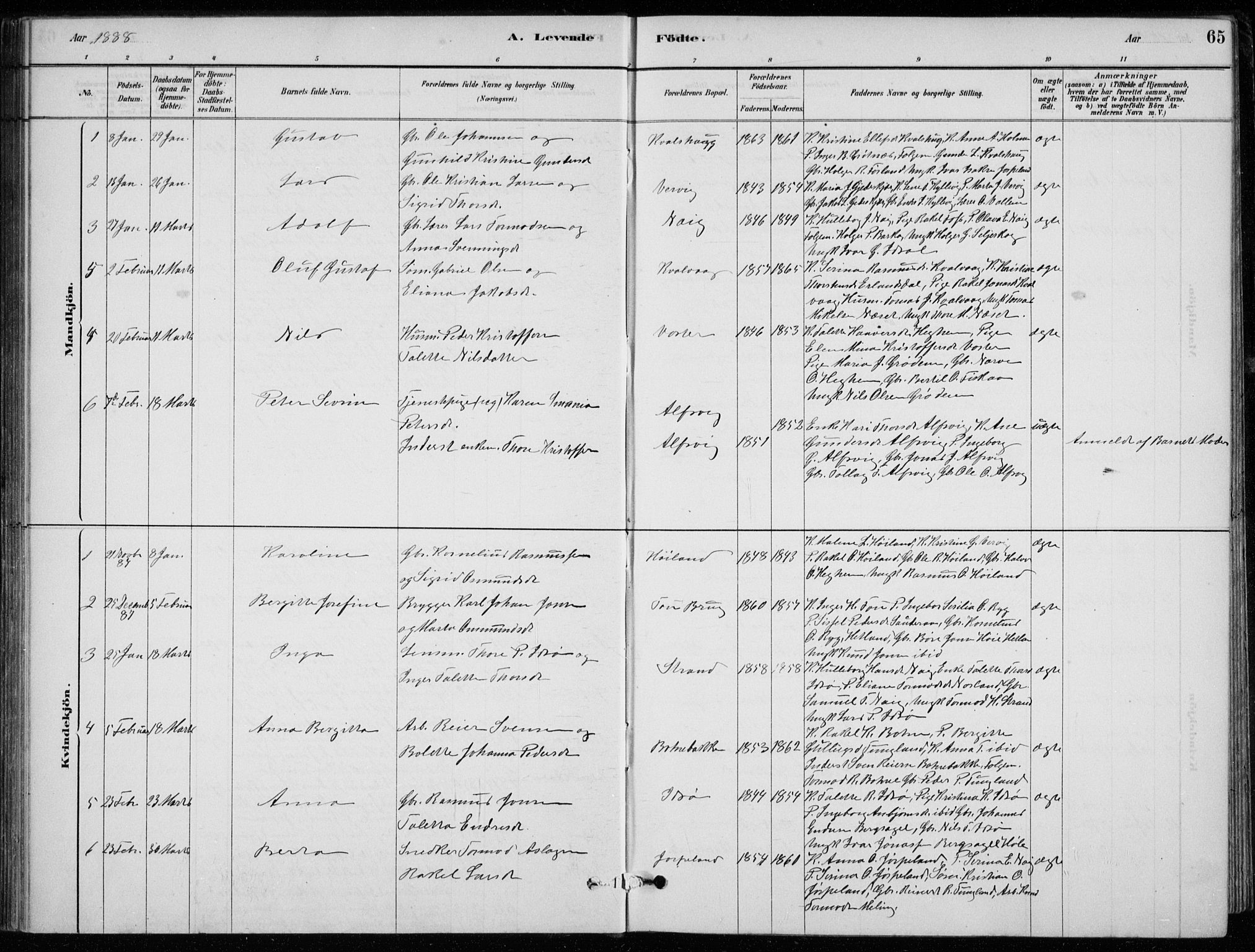 Strand sokneprestkontor, SAST/A-101828/H/Ha/Hab/L0004: Parish register (copy) no. B 4, 1878-1903, p. 65