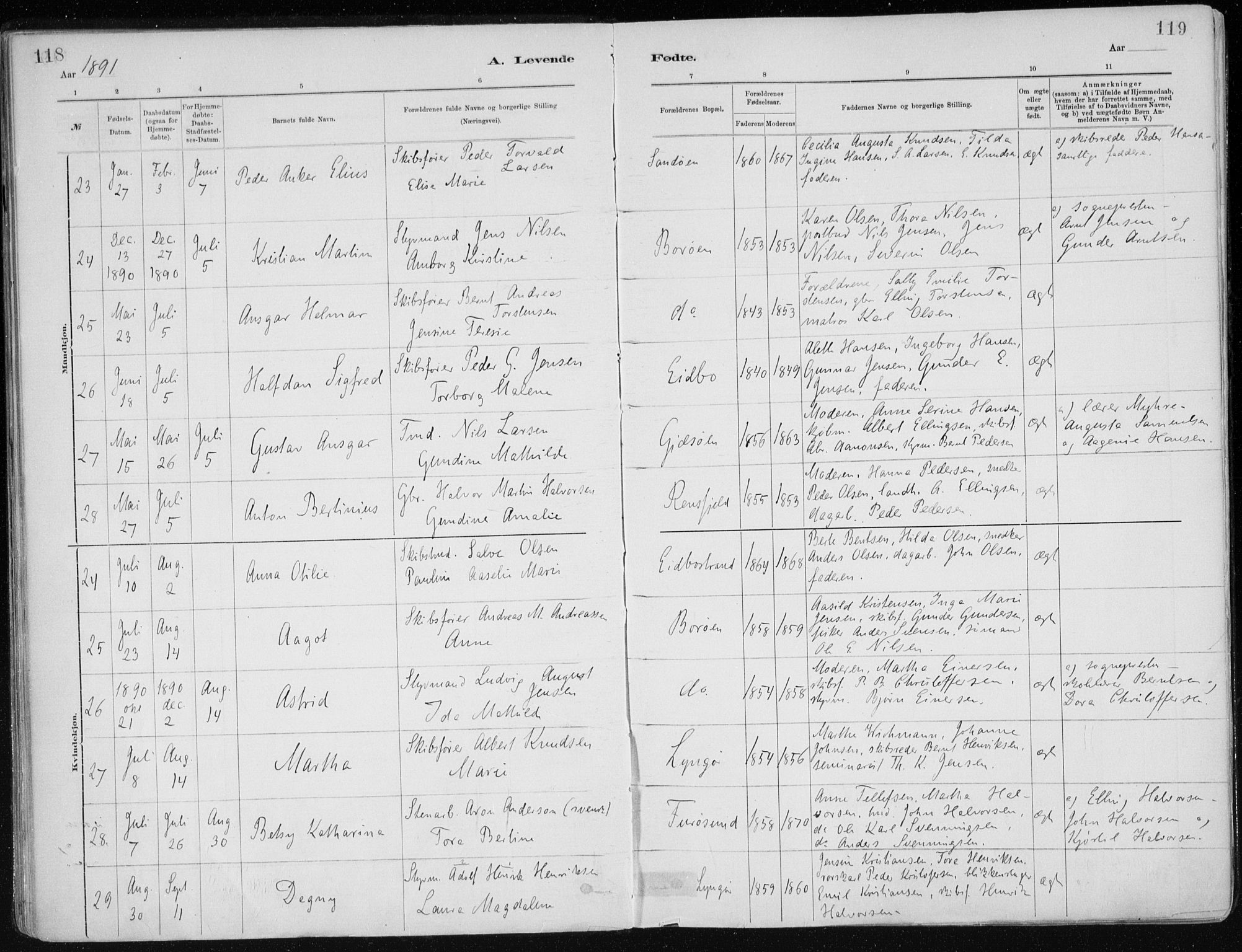 Dypvåg sokneprestkontor, SAK/1111-0007/F/Fa/Faa/L0008: Parish register (official) no. A 8, 1885-1906, p. 118-119