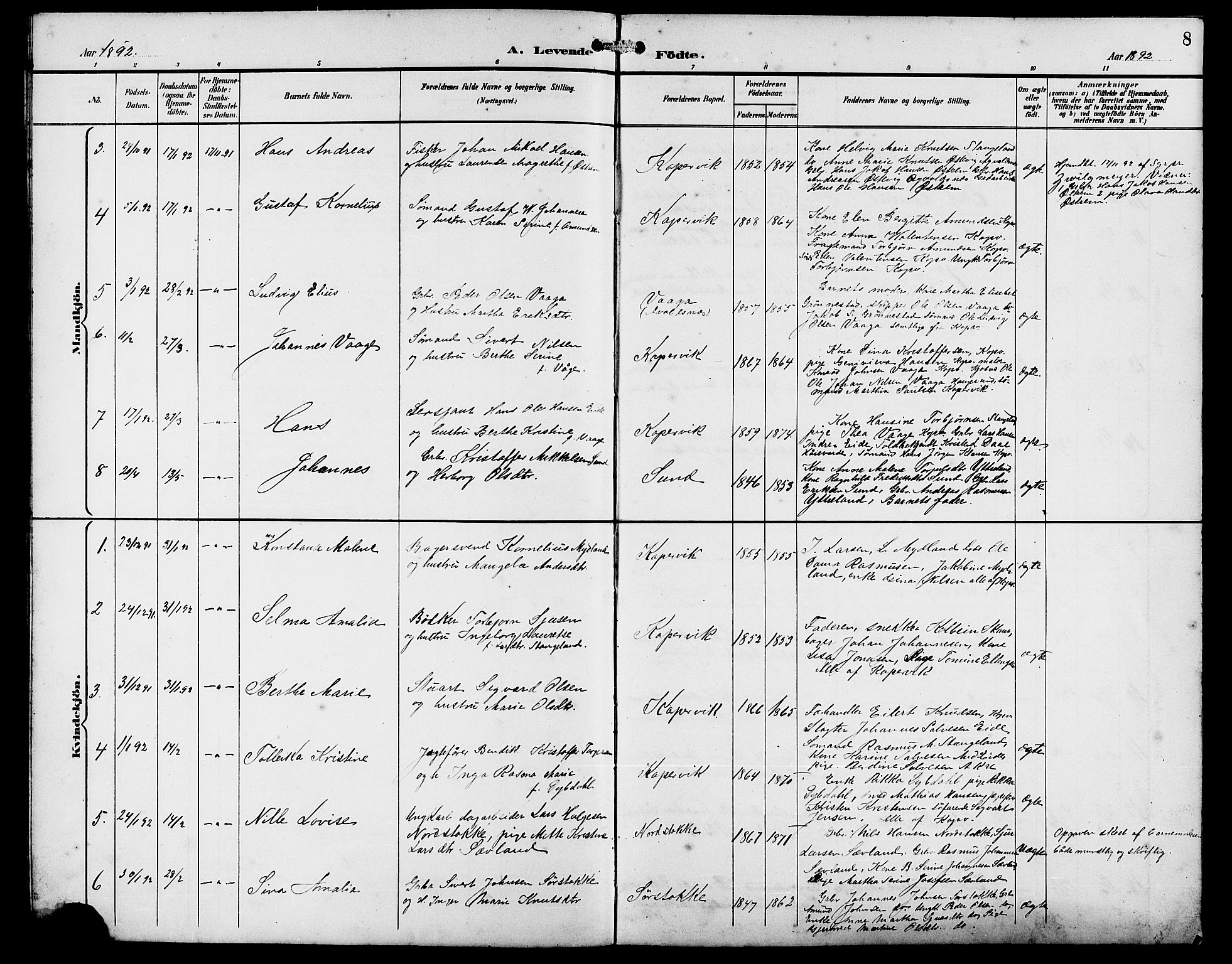 Kopervik sokneprestkontor, AV/SAST-A-101850/H/Ha/Hab/L0003: Parish register (copy) no. B 3, 1891-1909, p. 8