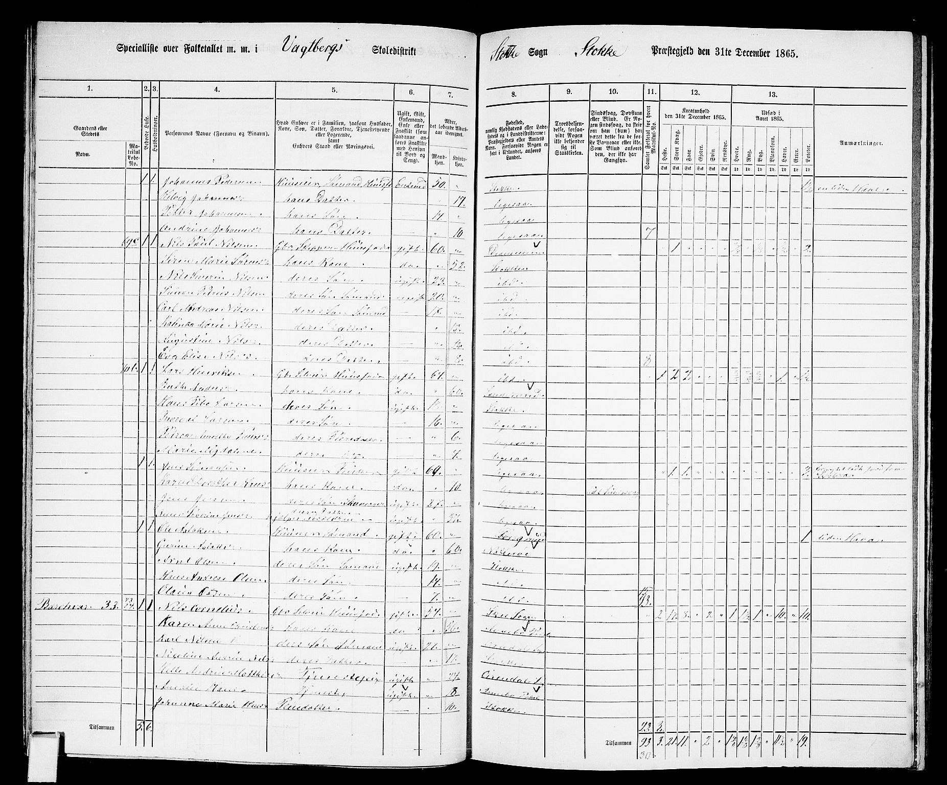 RA, 1865 census for Stokke, 1865, p. 63