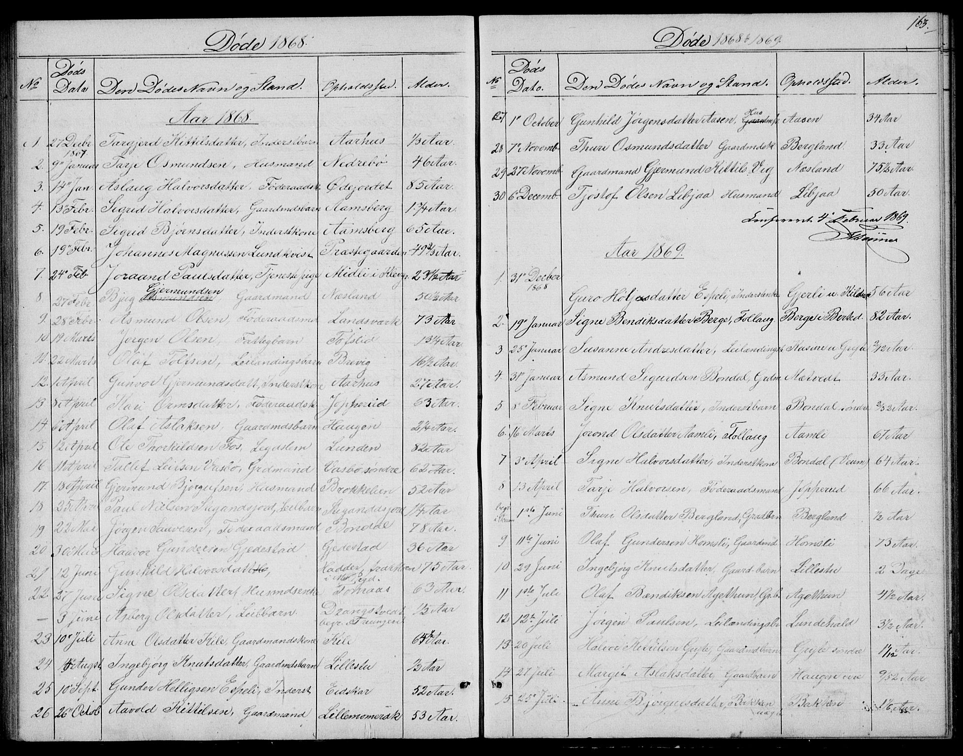 Fyresdal kirkebøker, SAKO/A-263/G/Ga/L0004: Parish register (copy) no. I 4, 1864-1892, p. 163