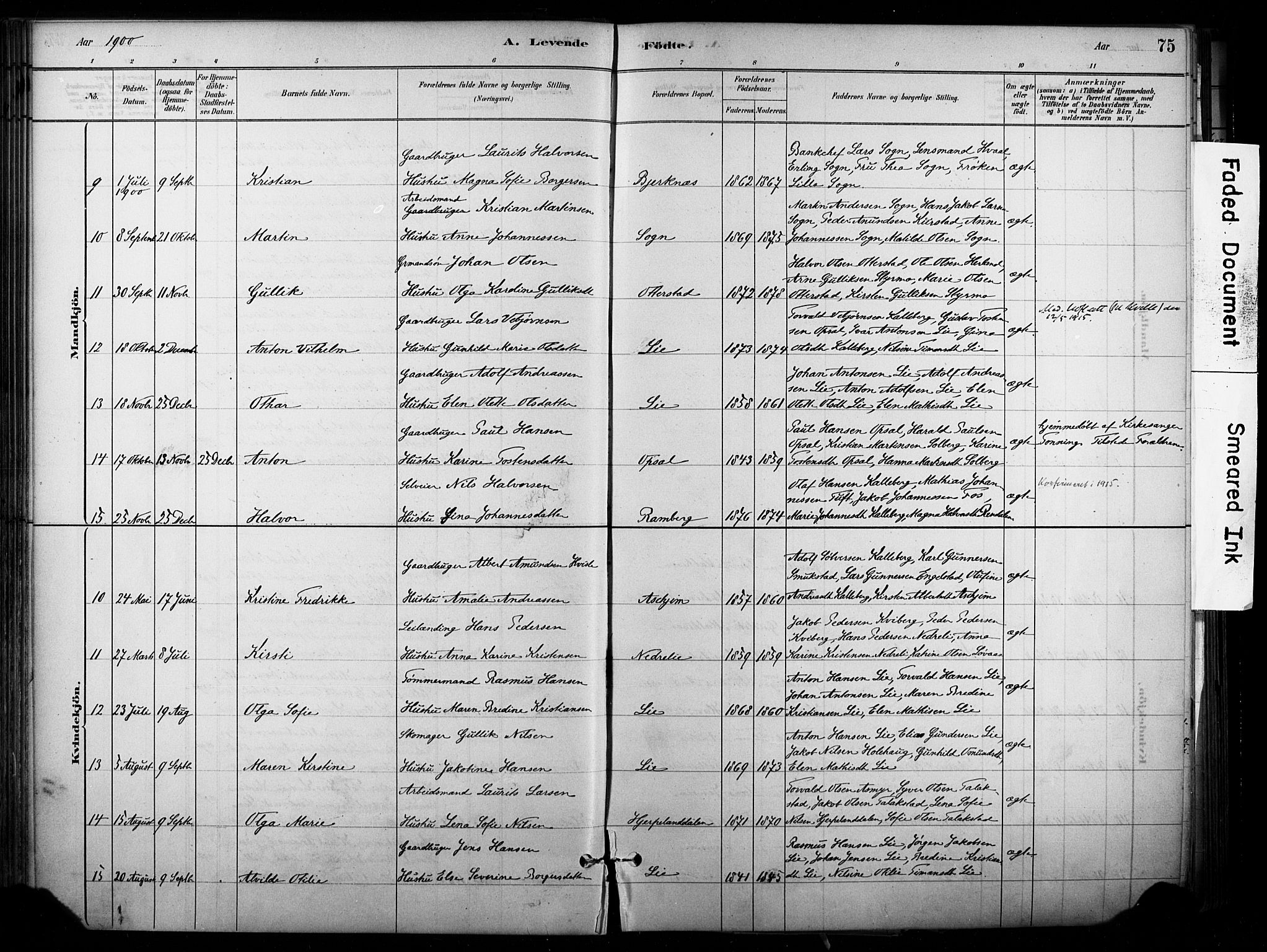 Lardal kirkebøker, AV/SAKO-A-350/F/Fb/L0001: Parish register (official) no. II 1, 1881-1911, p. 75