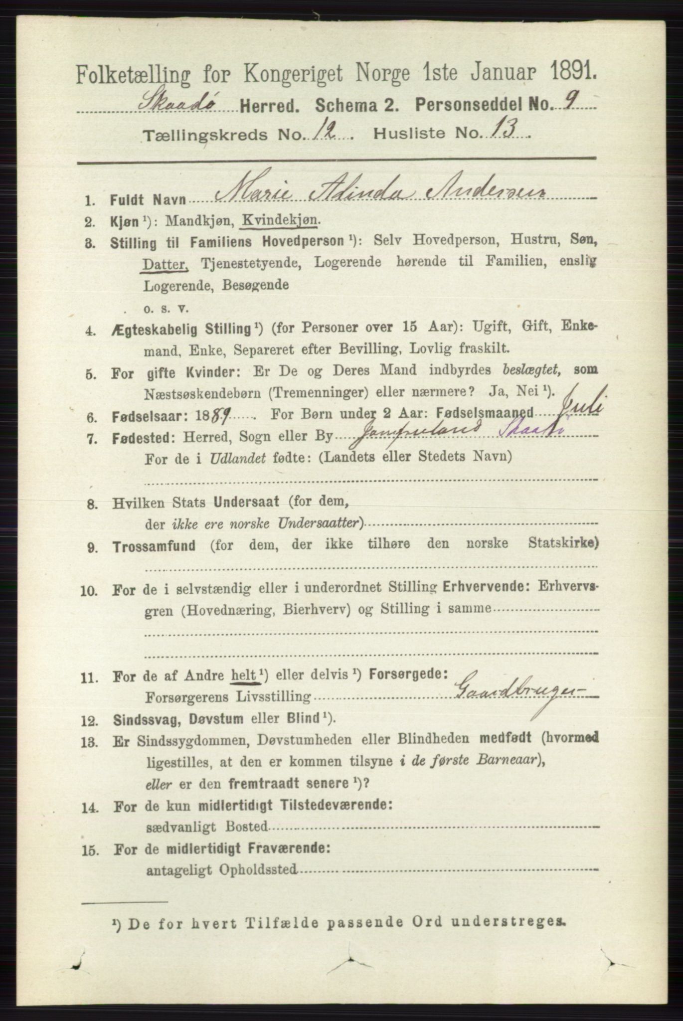 RA, 1891 census for 0815 Skåtøy, 1891, p. 4374