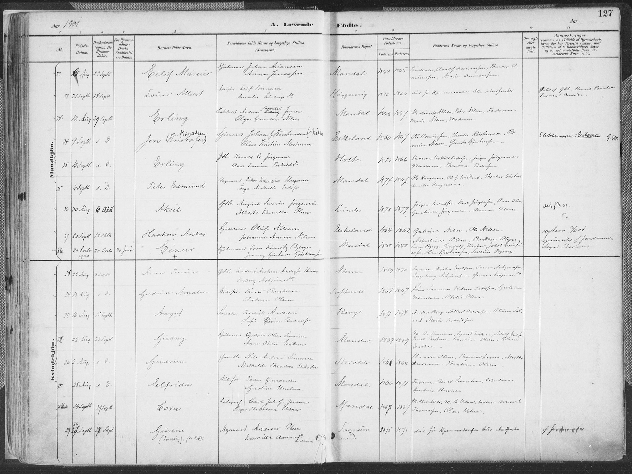 Mandal sokneprestkontor, AV/SAK-1111-0030/F/Fa/Faa/L0018: Parish register (official) no. A 18, 1890-1905, p. 127