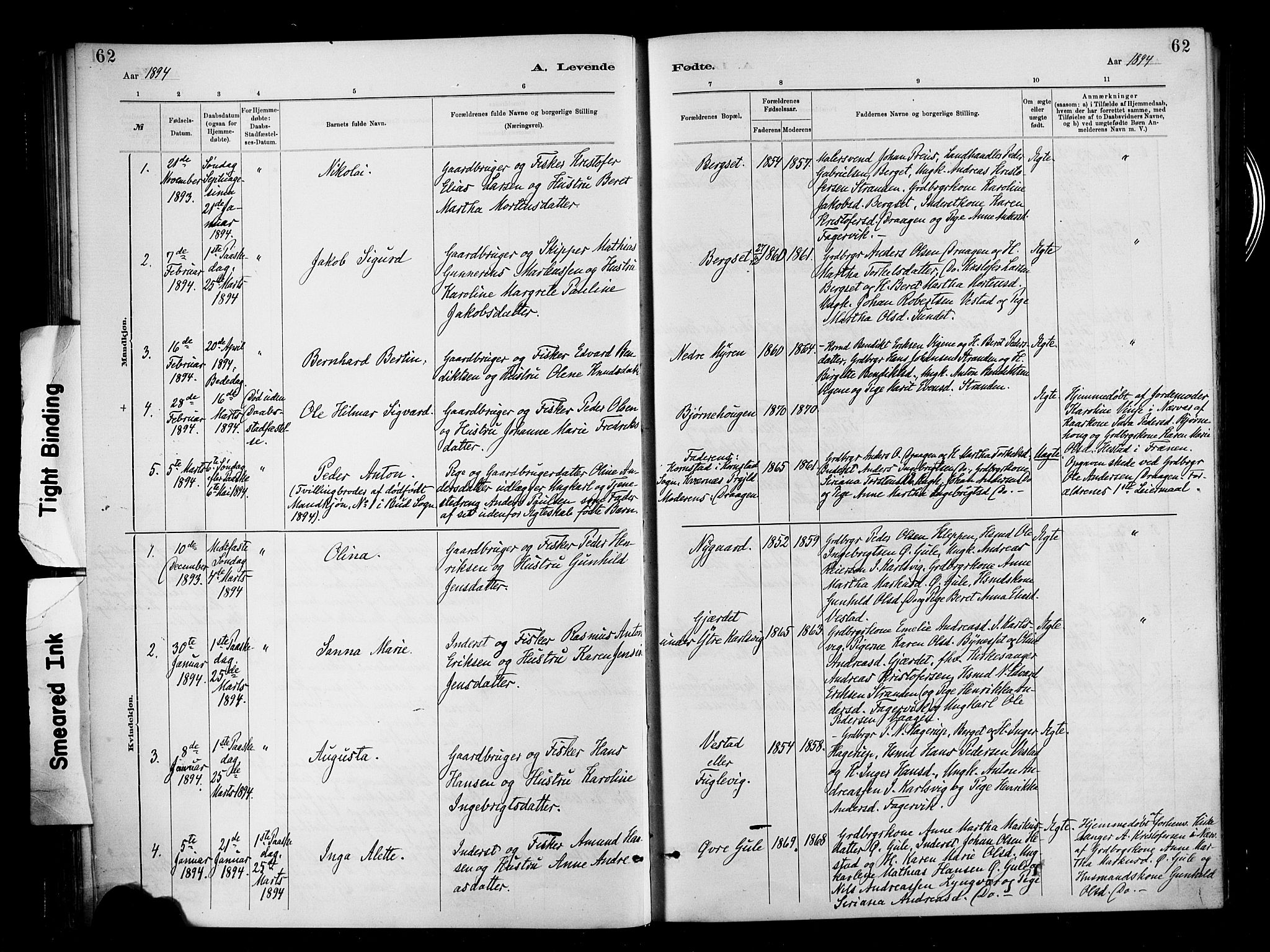 Ministerialprotokoller, klokkerbøker og fødselsregistre - Møre og Romsdal, SAT/A-1454/566/L0769: Parish register (official) no. 566A08, 1881-1903, p. 62