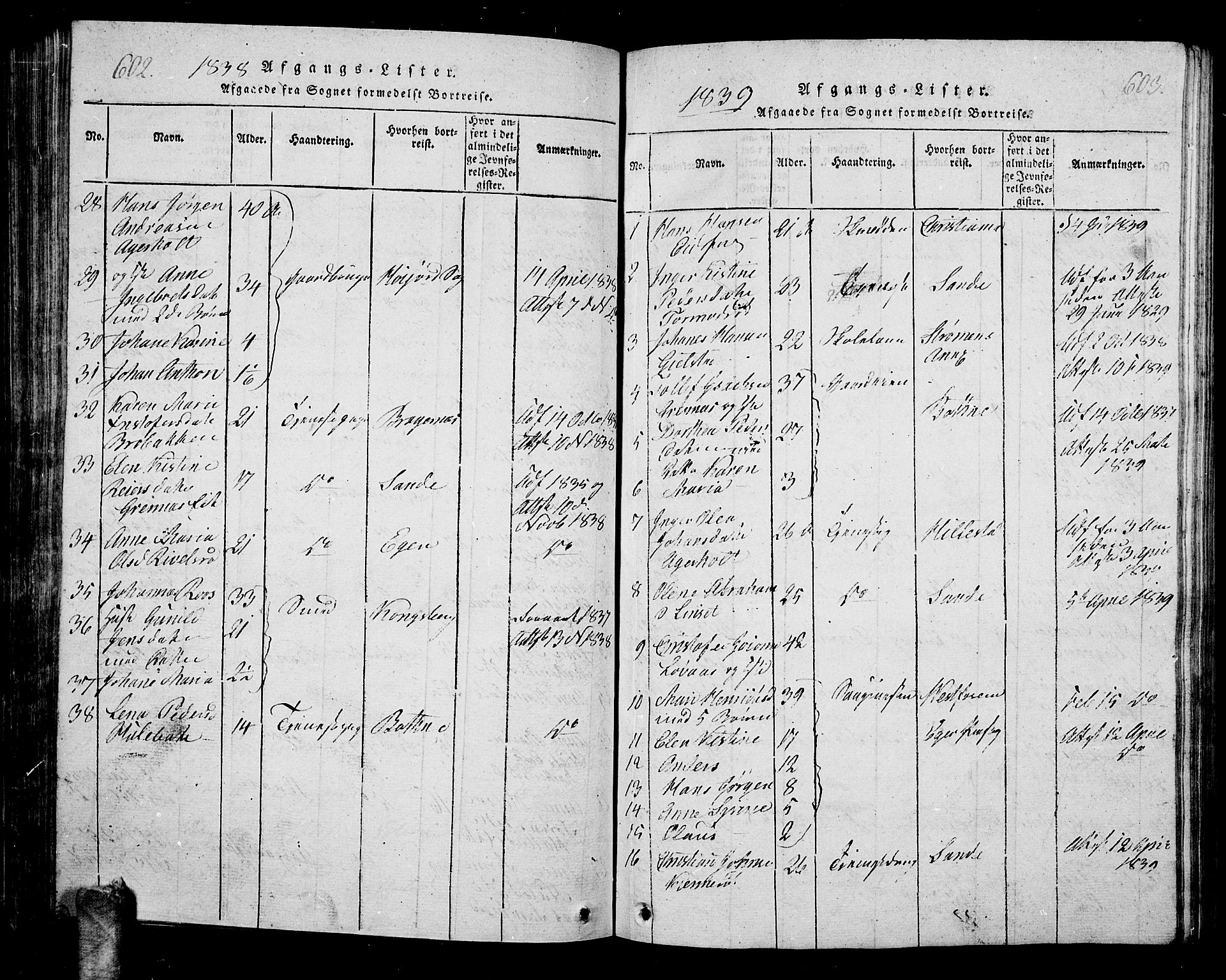 Hof kirkebøker, AV/SAKO-A-64/G/Ga/L0001: Parish register (copy) no. I 1, 1814-1844, p. 602-603