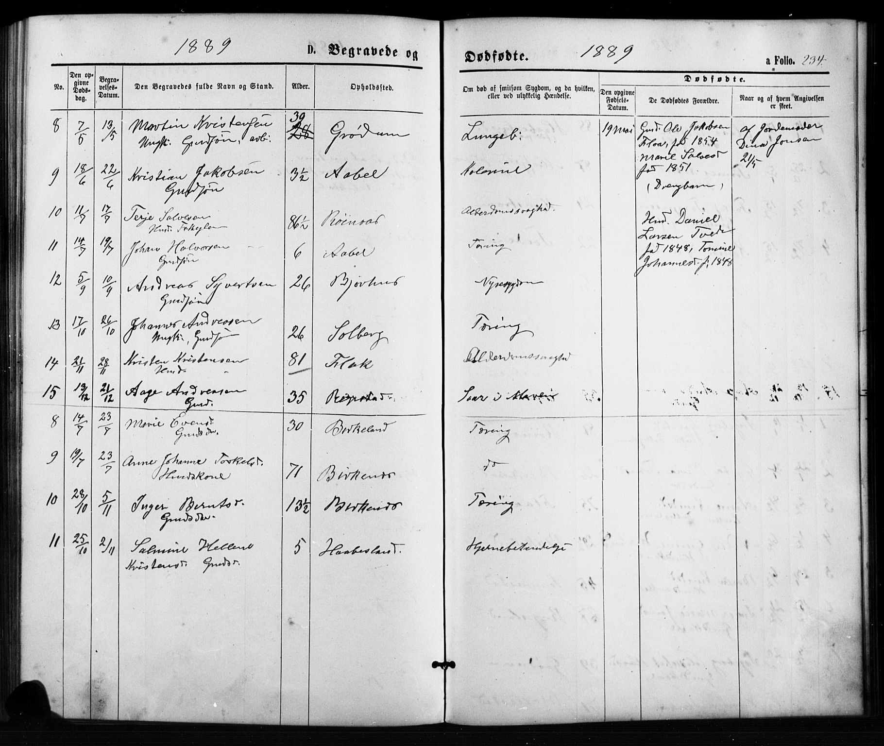 Birkenes sokneprestkontor, SAK/1111-0004/F/Fb/L0003: Parish register (copy) no. B 3, 1876-1892, p. 234