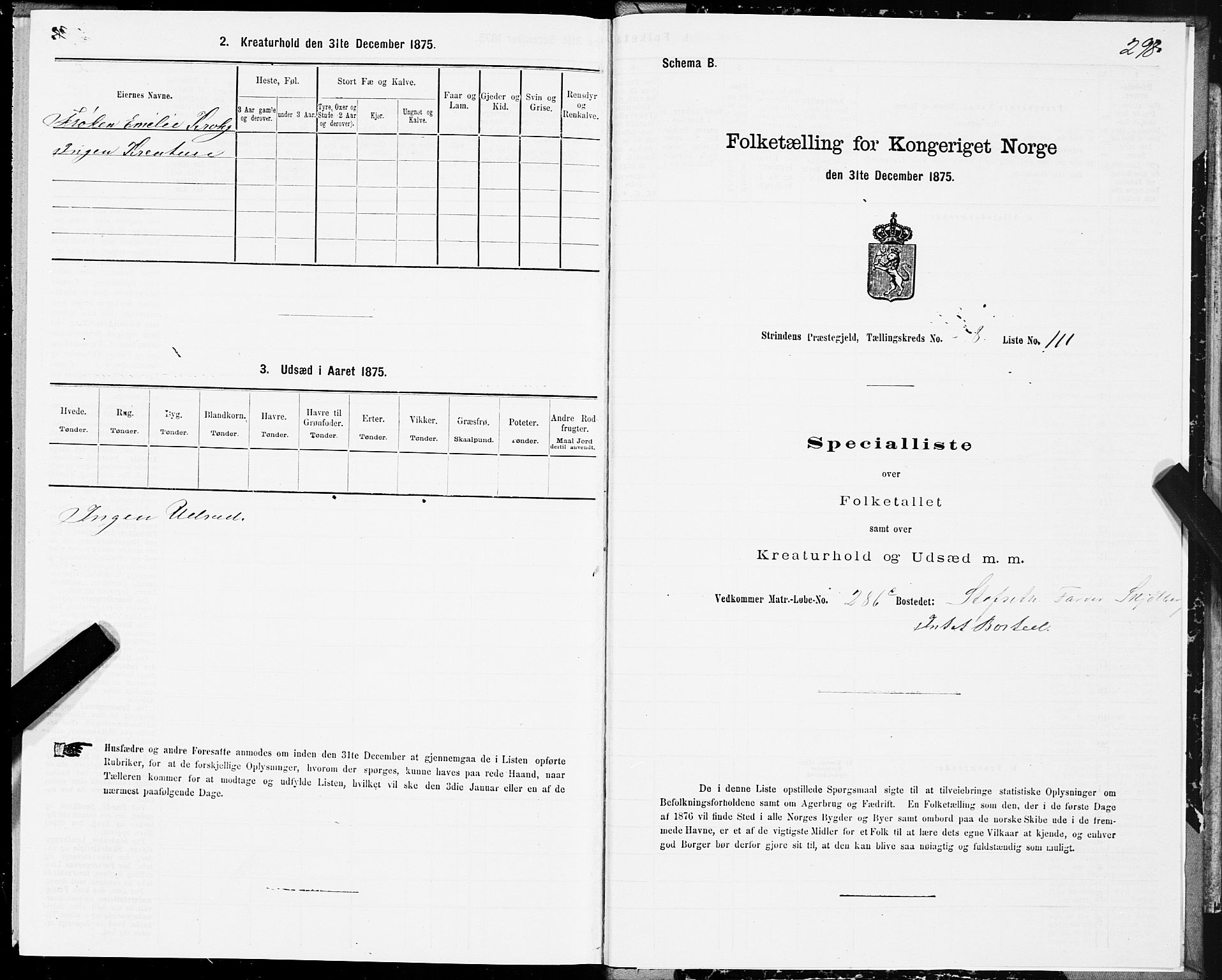 SAT, 1875 census for 1660P Strinda, 1875, p. 4298