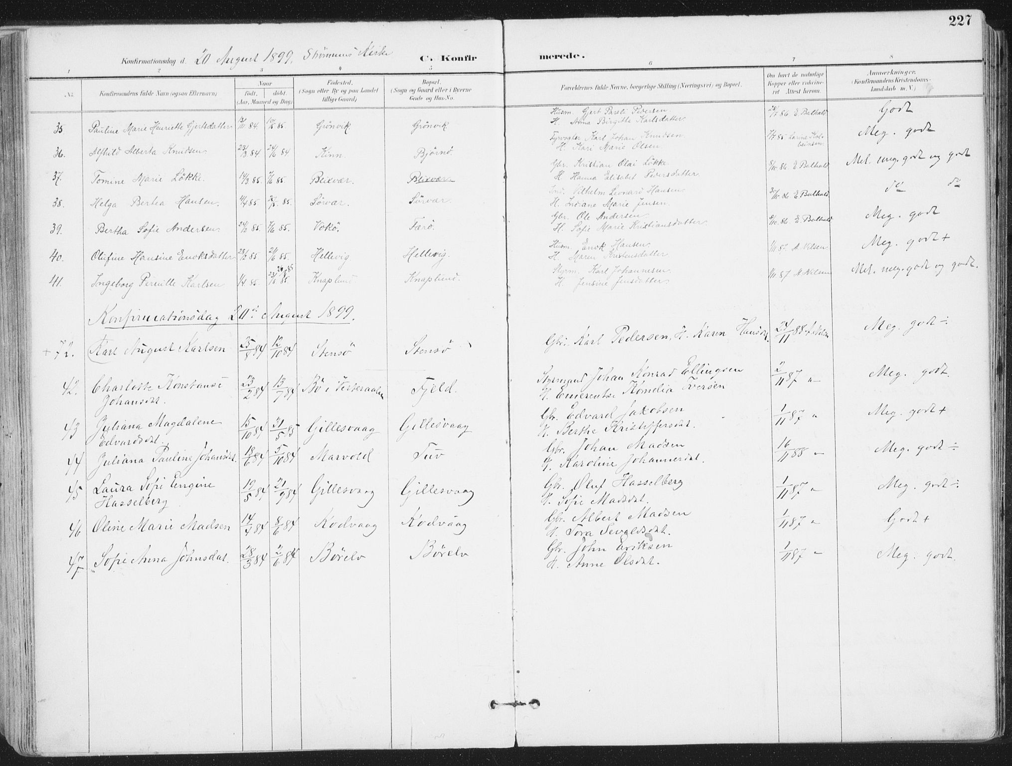 Ministerialprotokoller, klokkerbøker og fødselsregistre - Nordland, AV/SAT-A-1459/802/L0055: Parish register (official) no. 802A02, 1894-1915, p. 227