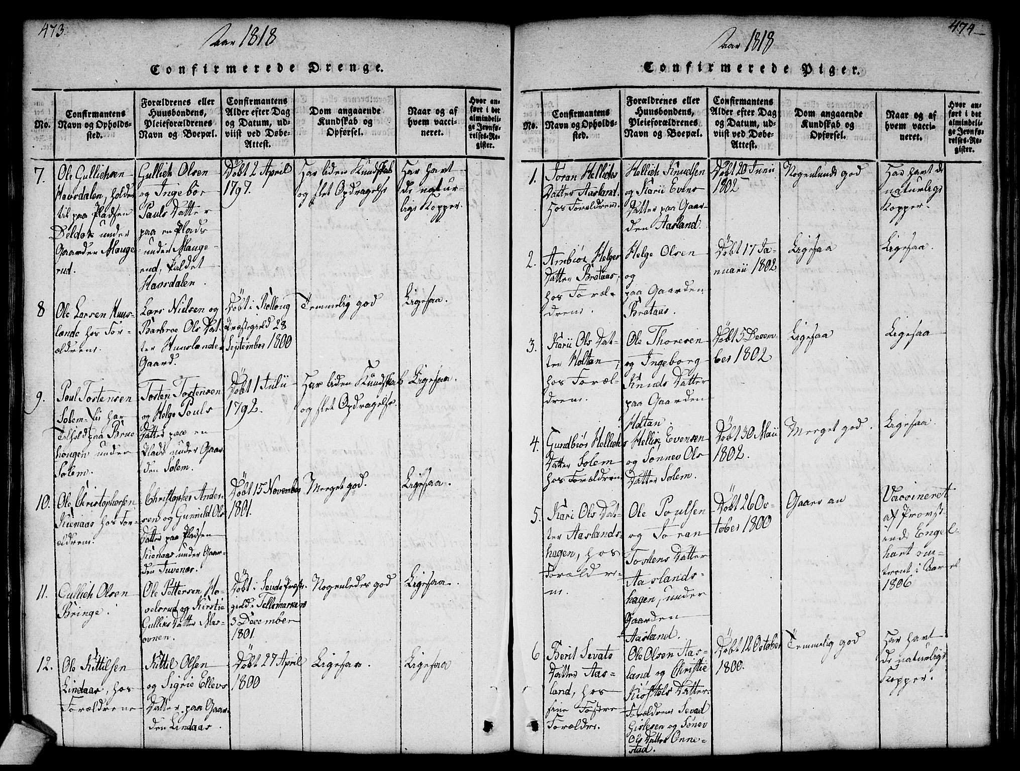 Flesberg kirkebøker, SAKO/A-18/G/Ga/L0001: Parish register (copy) no. I 1, 1816-1834, p. 473-474