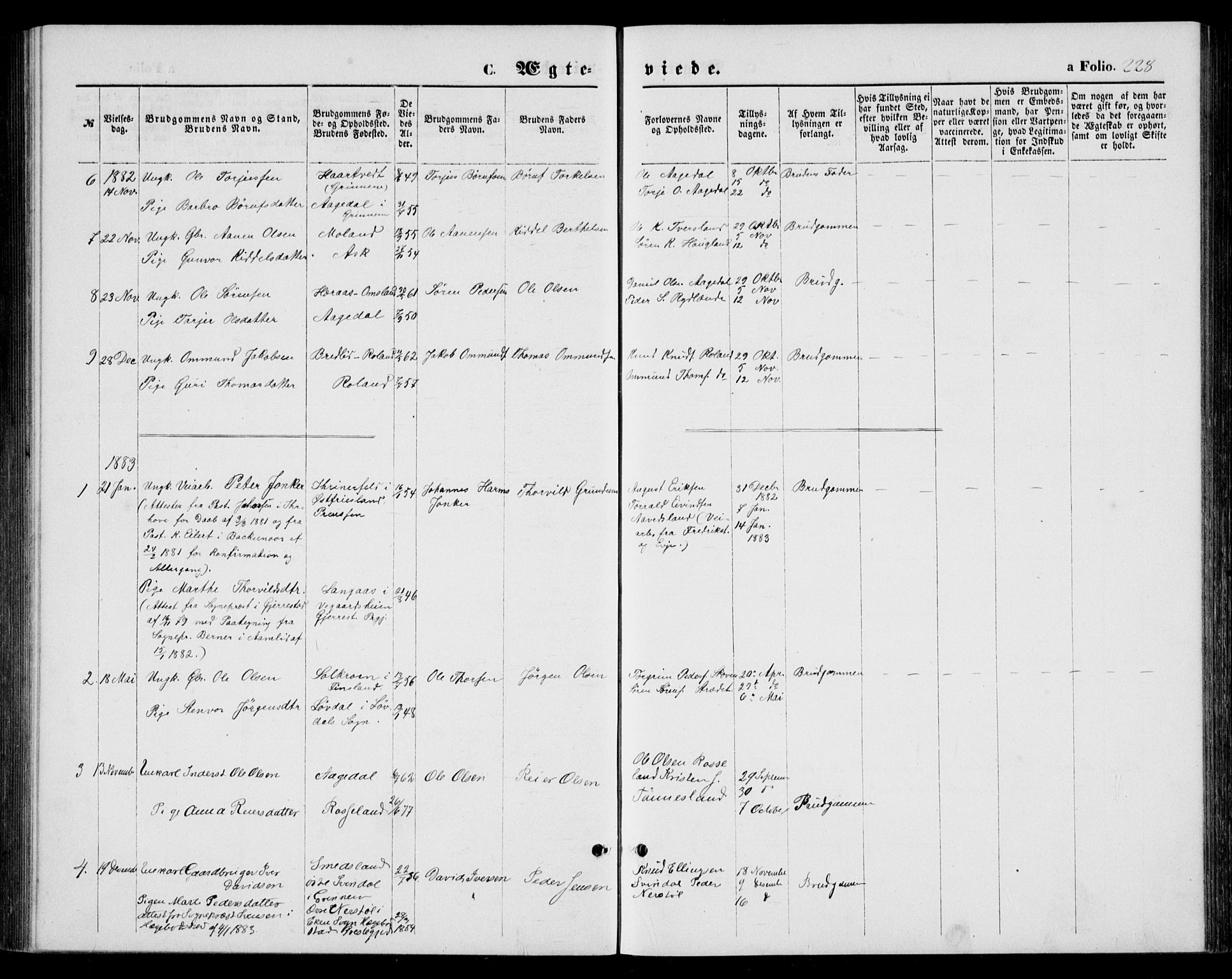 Bjelland sokneprestkontor, AV/SAK-1111-0005/F/Fb/Fba/L0004: Parish register (copy) no. B 4, 1869-1886, p. 228