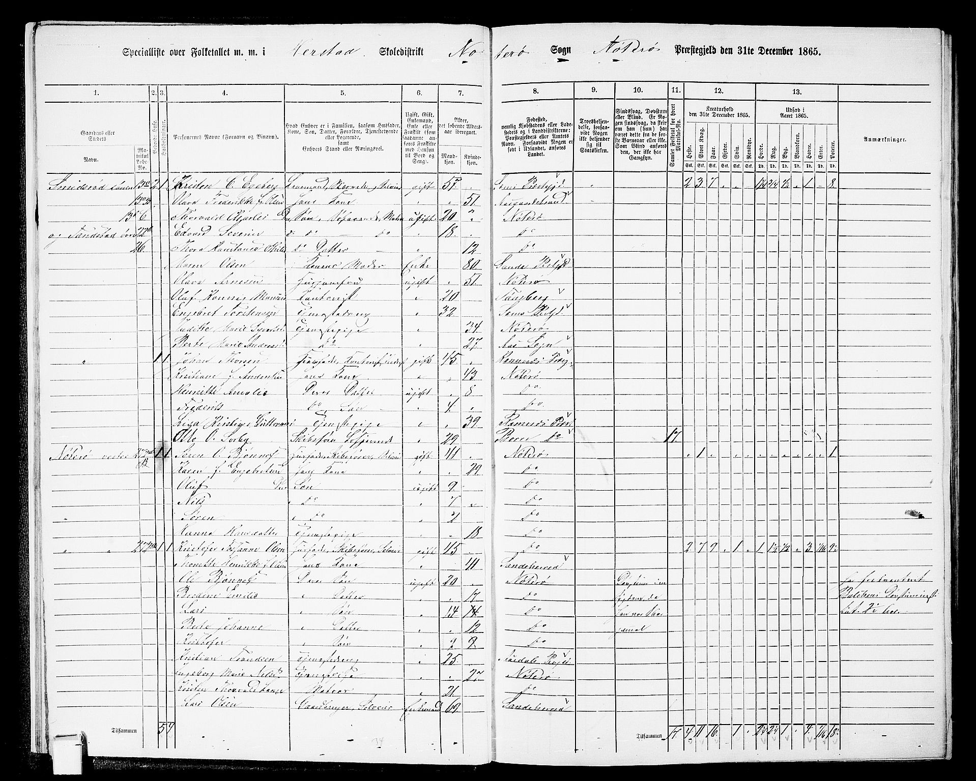 RA, 1865 census for Nøtterøy, 1865, p. 14