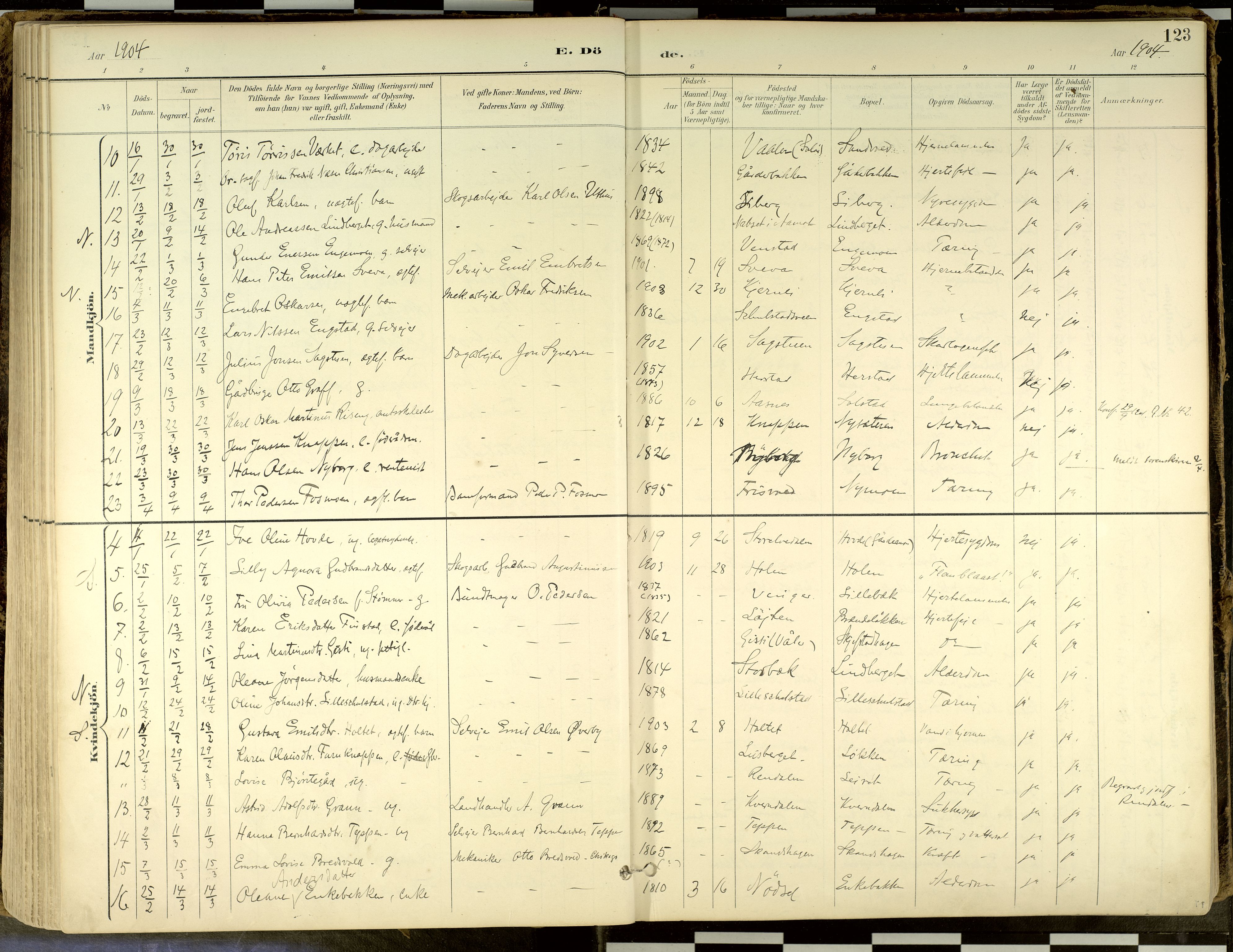 Elverum prestekontor, AV/SAH-PREST-044/H/Ha/Haa/L0018: Parish register (official) no. 18, 1894-1914, p. 123