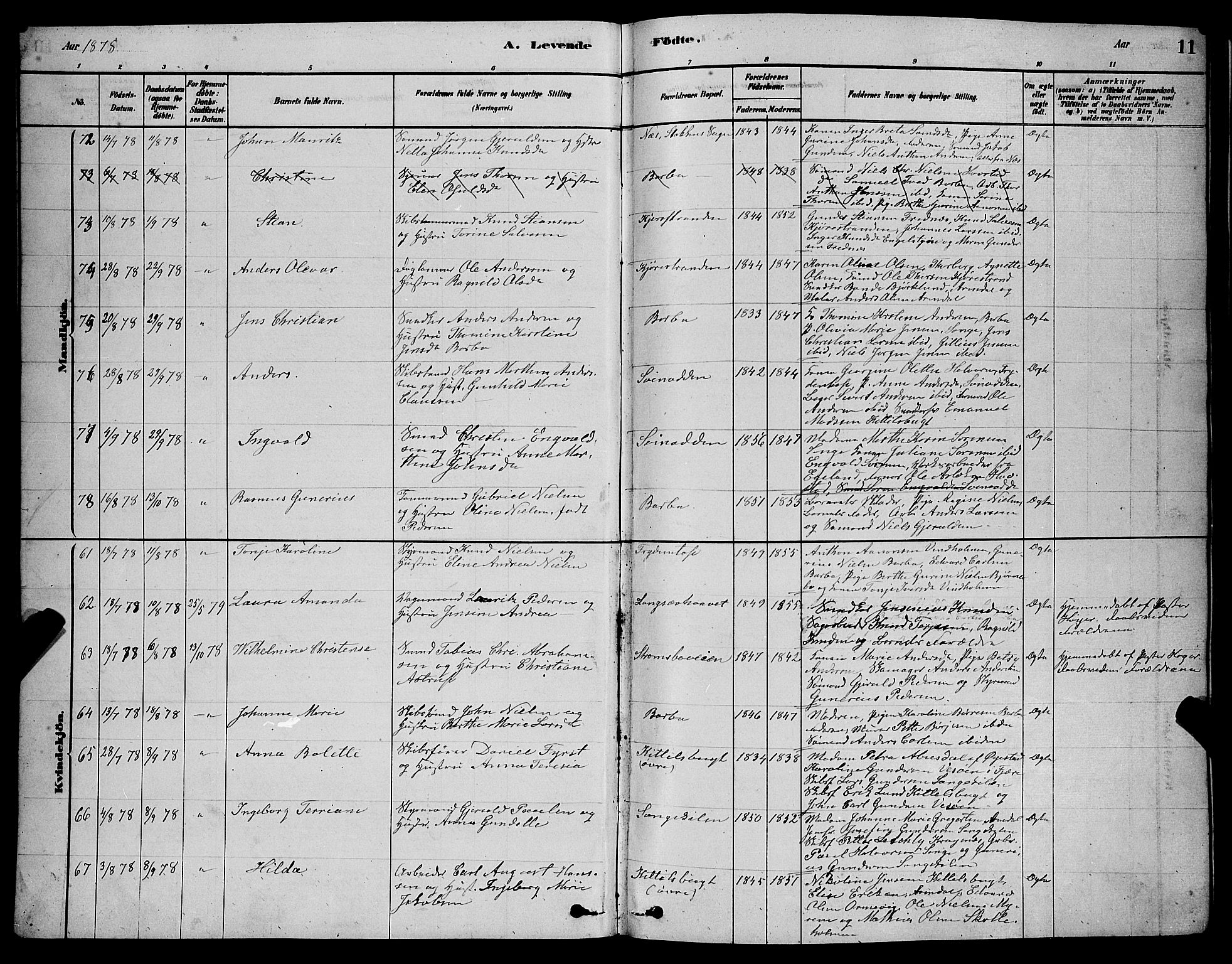 Barbu sokneprestkontor, AV/SAK-1111-0003/F/Fb/L0001: Parish register (copy) no. B 1, 1878-1890, p. 11