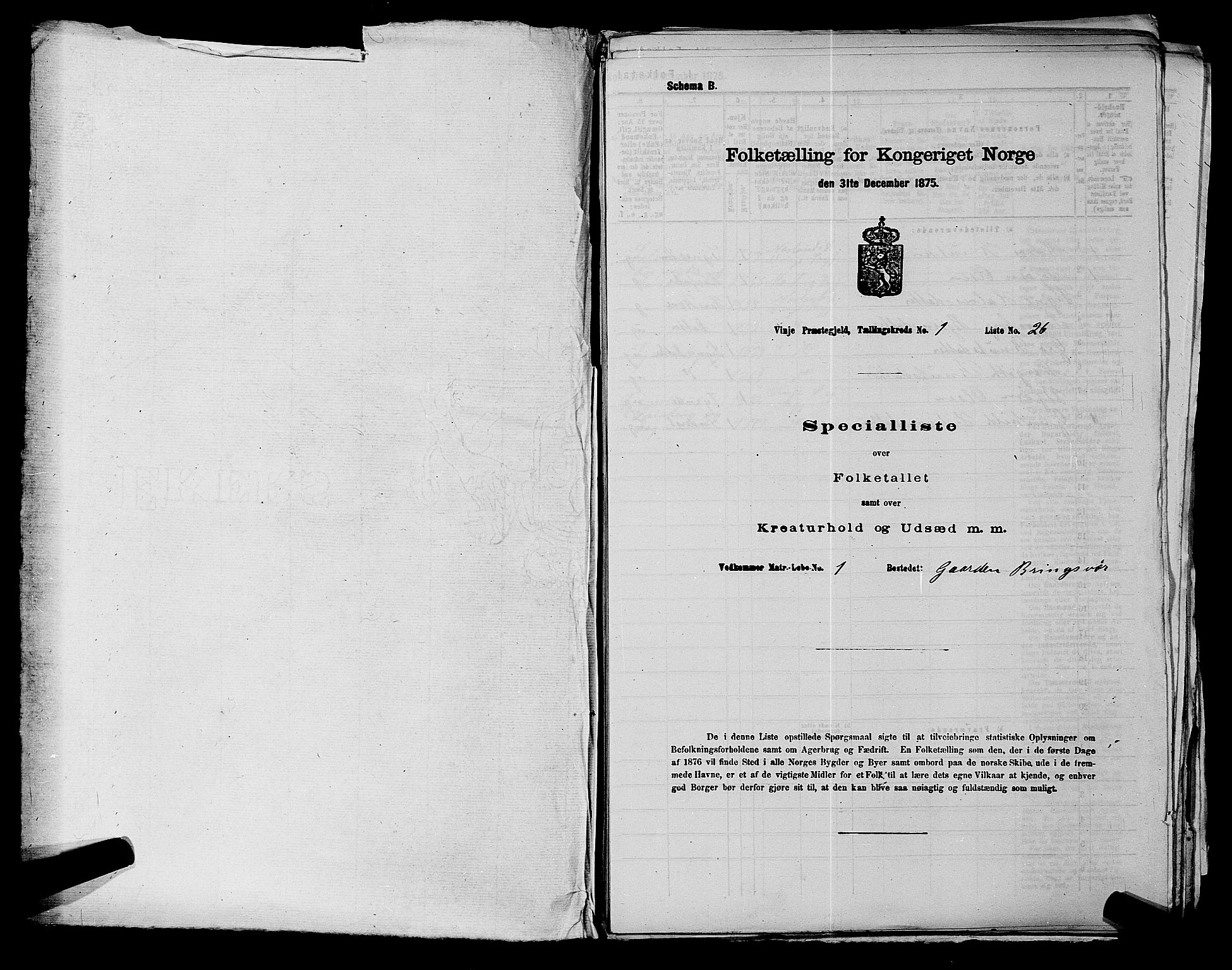 SAKO, 1875 census for 0834P Vinje, 1875, p. 43