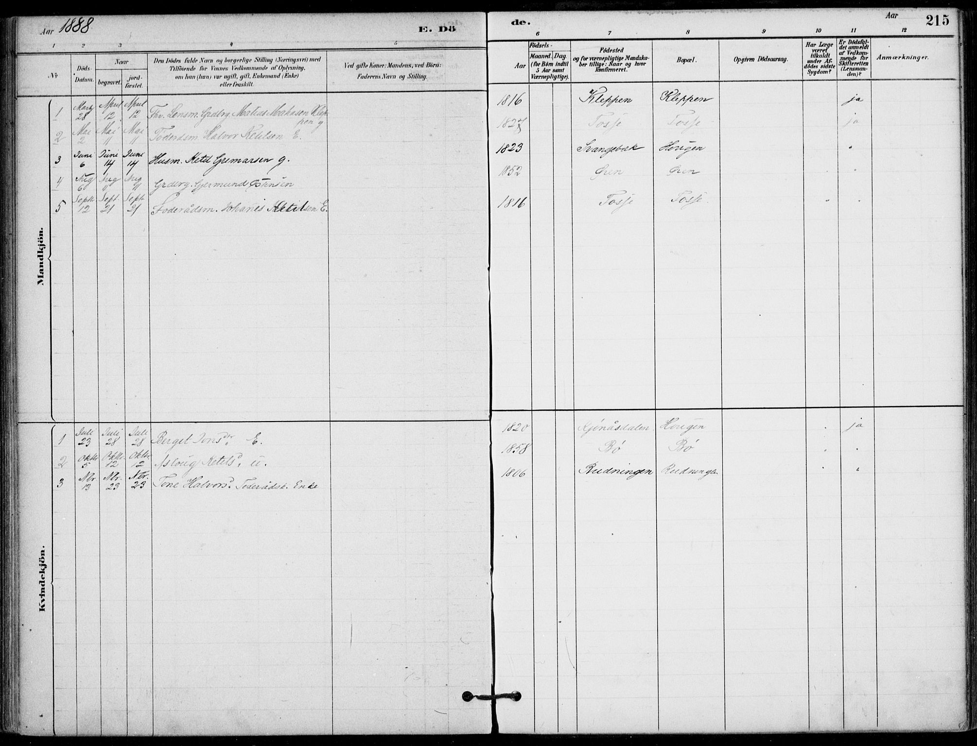 Hjartdal kirkebøker, SAKO/A-270/F/Fb/L0002: Parish register (official) no. II 2, 1880-1932, p. 215