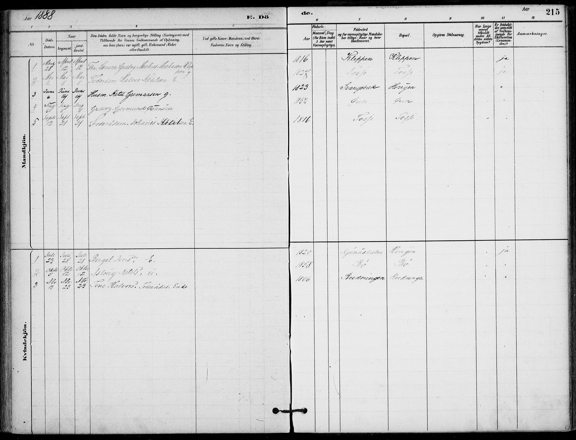 Hjartdal kirkebøker, AV/SAKO-A-270/F/Fb/L0002: Parish register (official) no. II 2, 1880-1932, p. 215