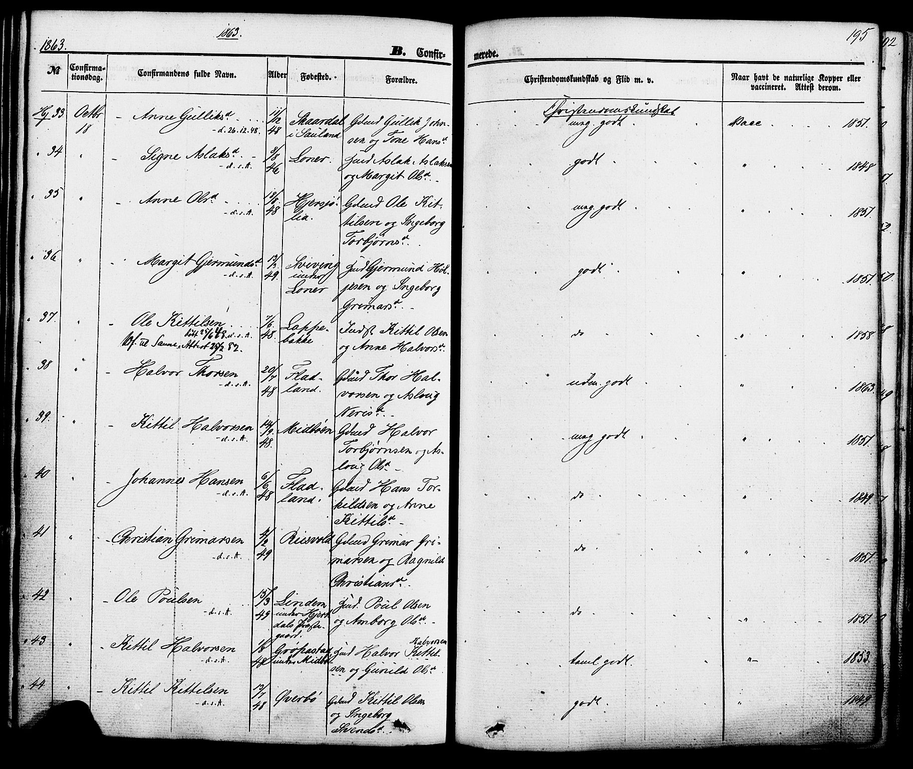 Hjartdal kirkebøker, AV/SAKO-A-270/F/Fa/L0009: Parish register (official) no. I 9, 1860-1879, p. 195