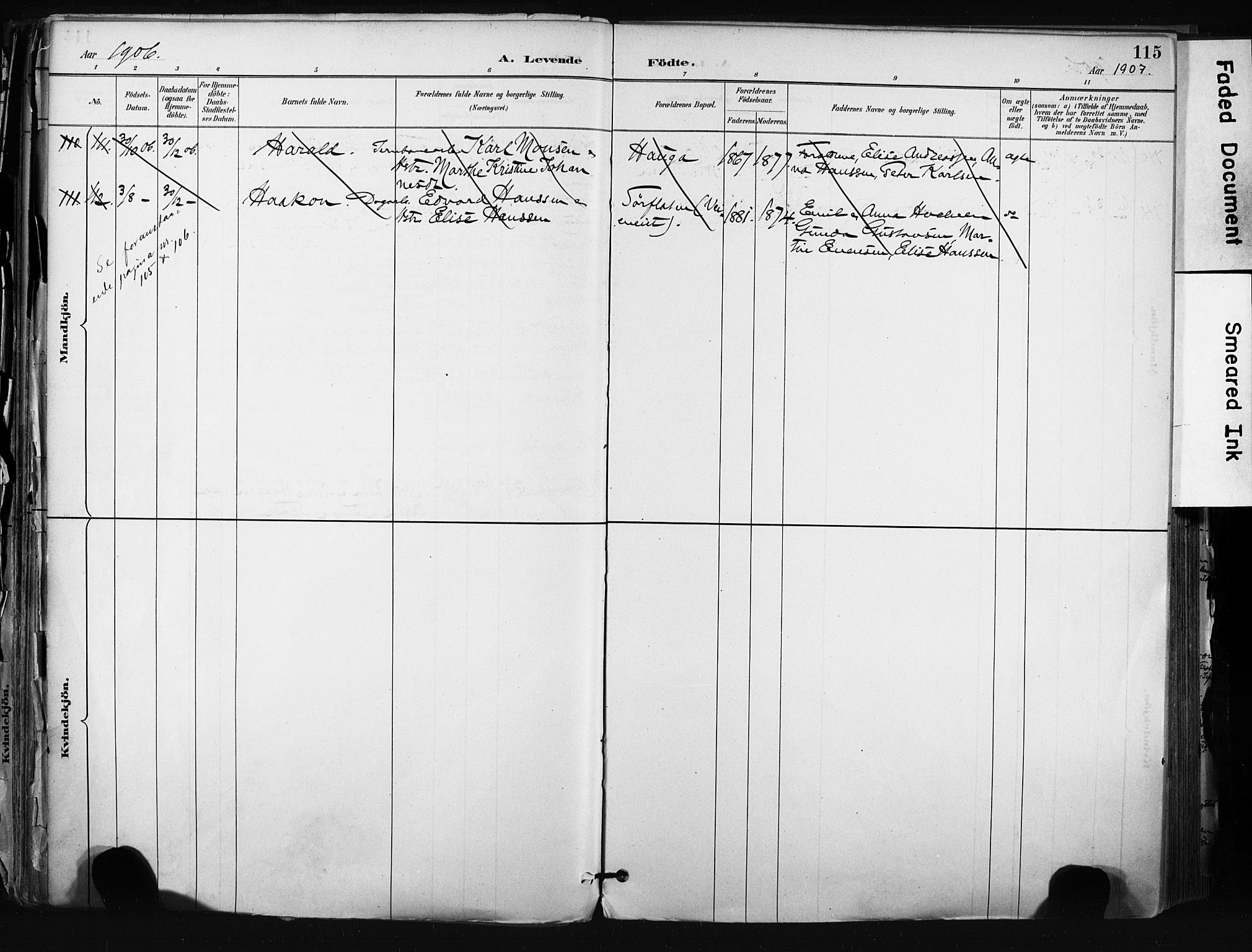 Hønefoss kirkebøker, AV/SAKO-A-609/F/Fa/L0002: Parish register (official) no. 2, 1887-1906, p. 115