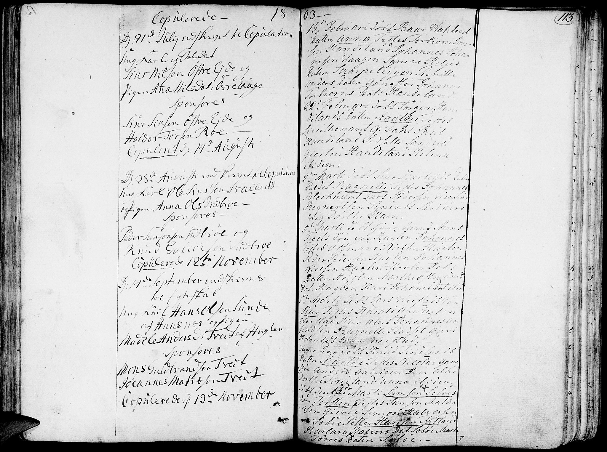 Fjelberg sokneprestembete, AV/SAB-A-75201/H/Haa: Parish register (official) no. A 3, 1788-1815, p. 113