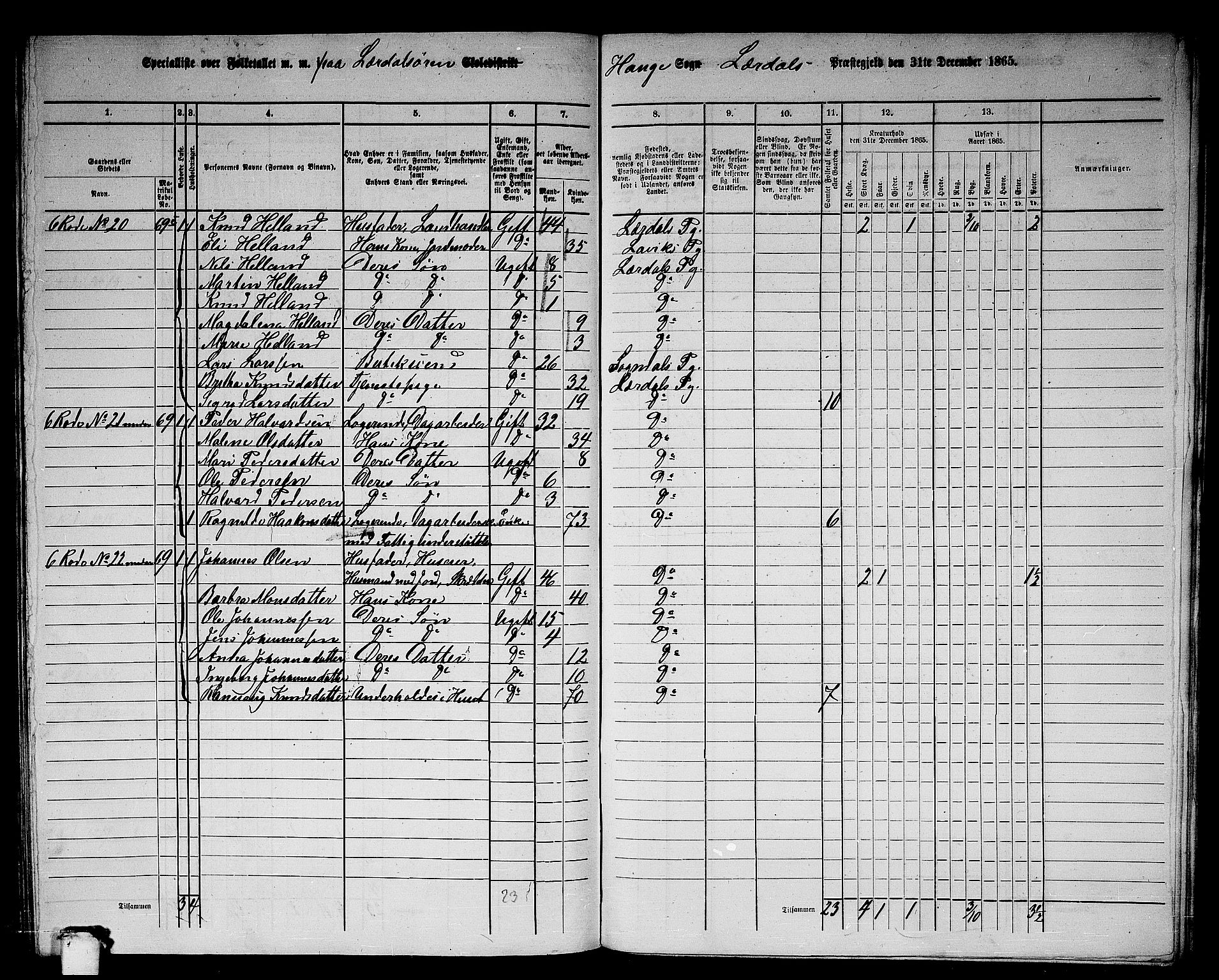 RA, 1865 census for Lærdal, 1865, p. 157