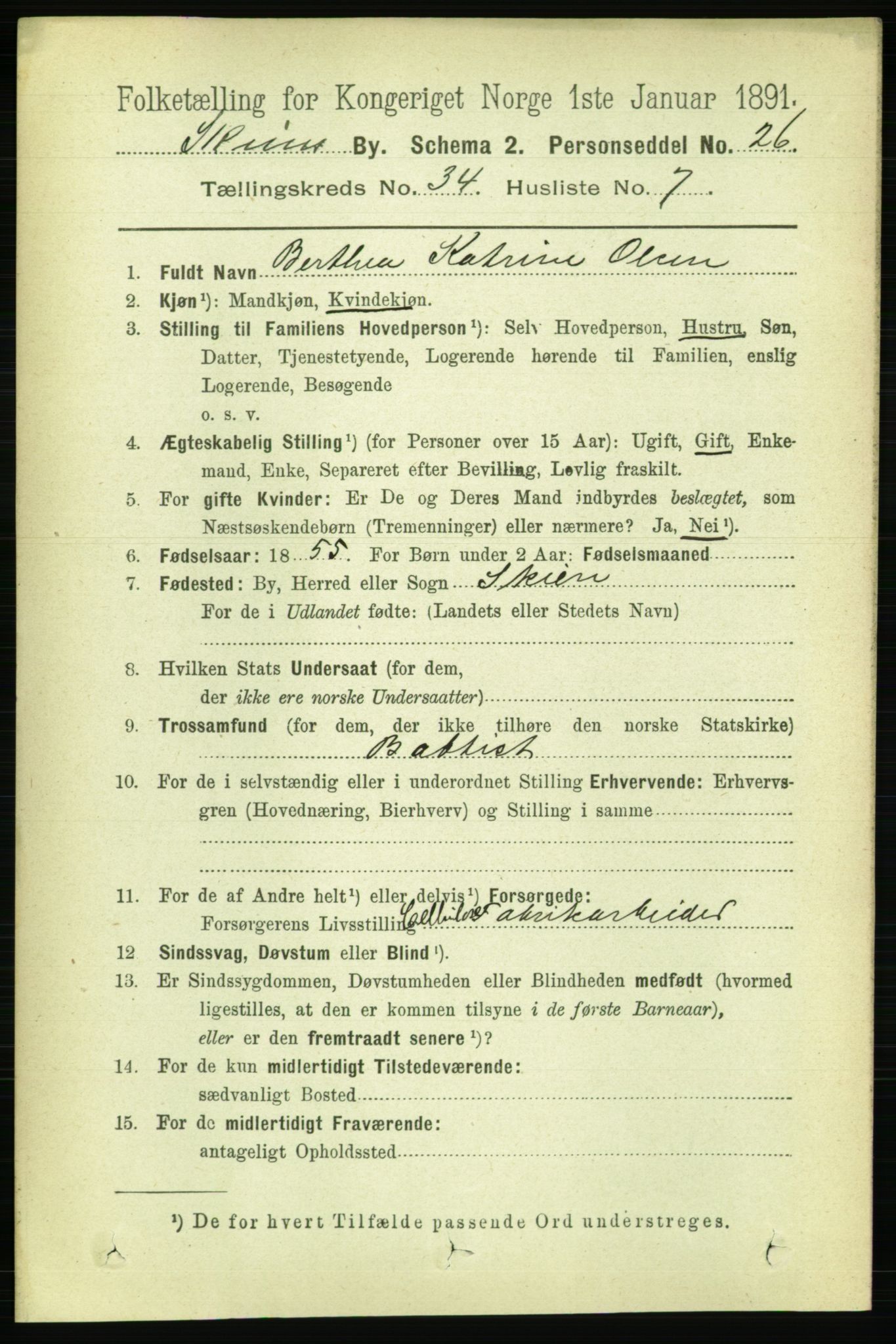 RA, 1891 census for 0806 Skien, 1891, p. 7807