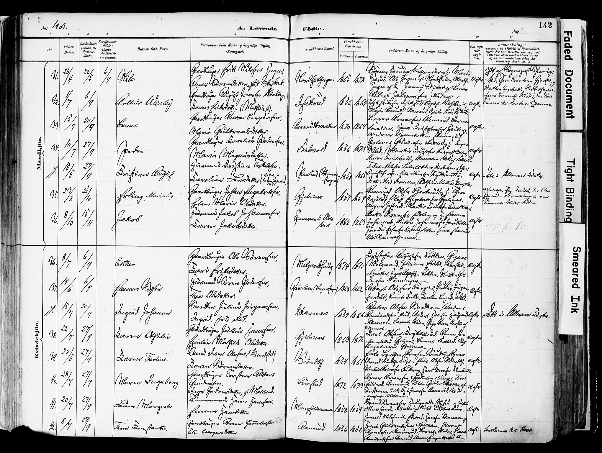 Sør-Odal prestekontor, AV/SAH-PREST-030/H/Ha/Haa/L0006: Parish register (official) no. 6, 1886-1931, p. 142