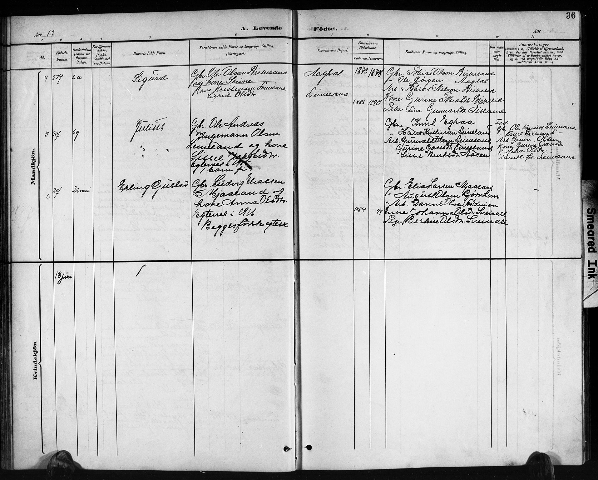 Holum sokneprestkontor, AV/SAK-1111-0022/F/Fb/Fbb/L0004: Parish register (copy) no. B 4, 1899-1920, p. 36