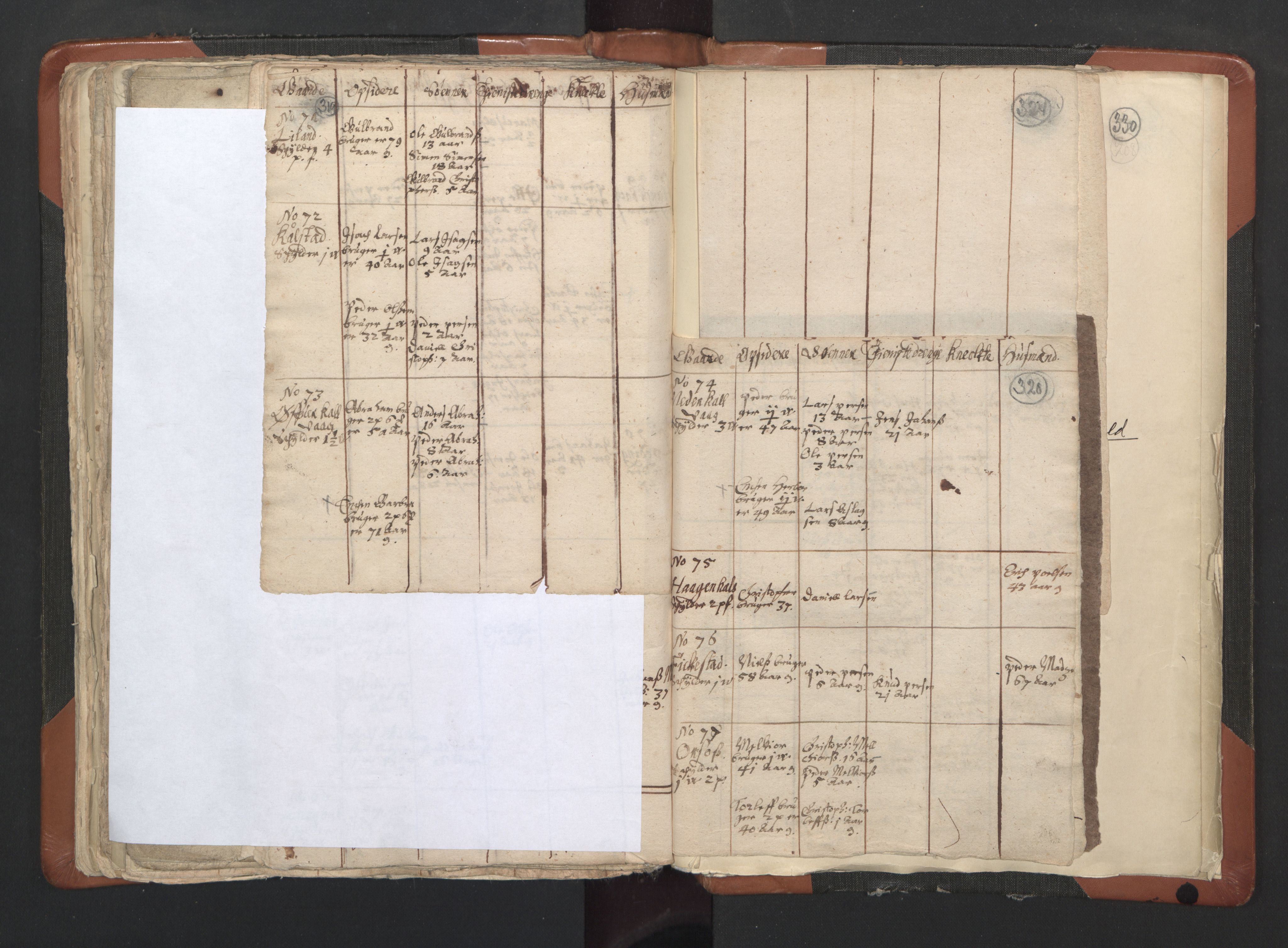 RA, Vicar's Census 1664-1666, no. 35: Helgeland deanery and Salten deanery, 1664-1666, p. 319-320