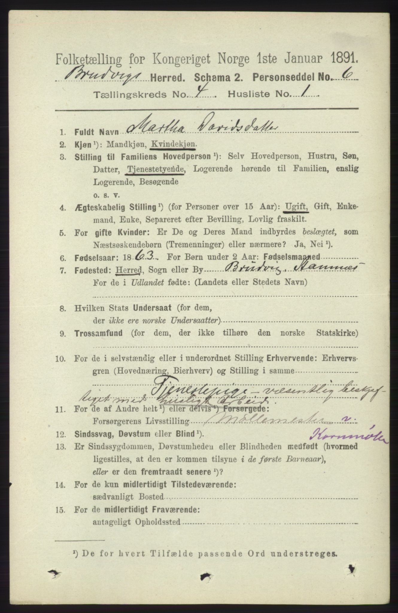 RA, 1891 census for 1251 Bruvik, 1891, p. 1007