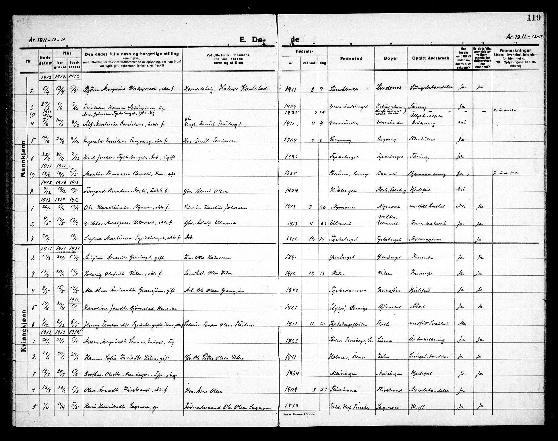 Åsnes prestekontor, AV/SAH-PREST-042/H/Ha/Haa/L0000E: Parish register (official) no. 0C, 1890-1929, p. 119