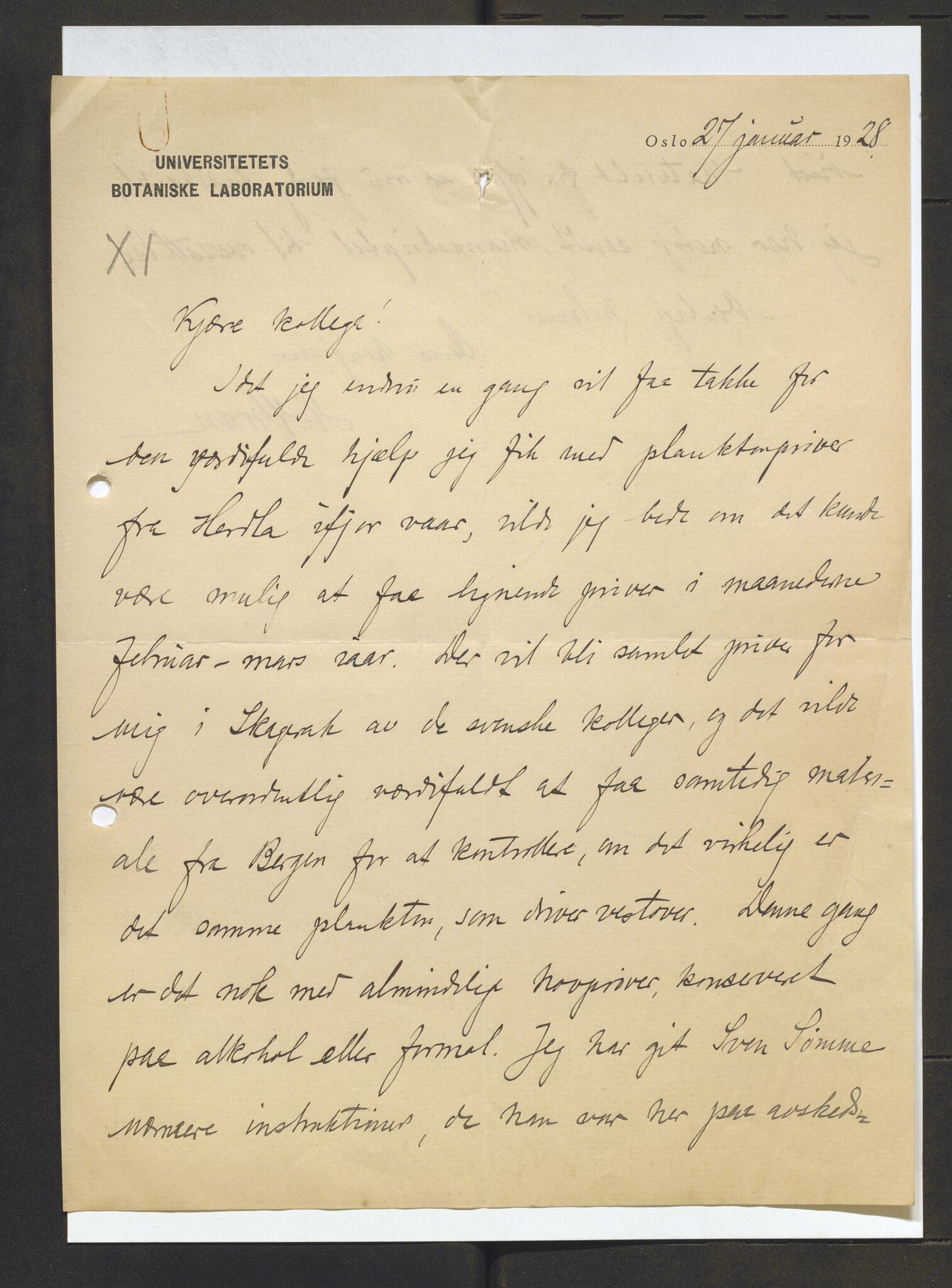 Bergens Museum, AV/SAB-A-17301/13/D/L0002: Korrespondanse , 1928-1940, p. 489