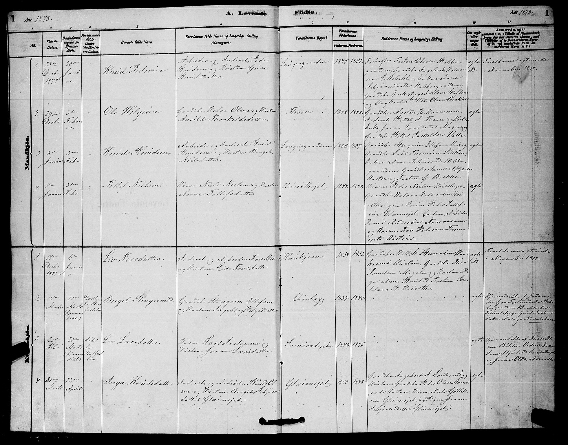 Rollag kirkebøker, AV/SAKO-A-240/G/Gb/L0002: Parish register (copy) no. II 2, 1878-1898, p. 1