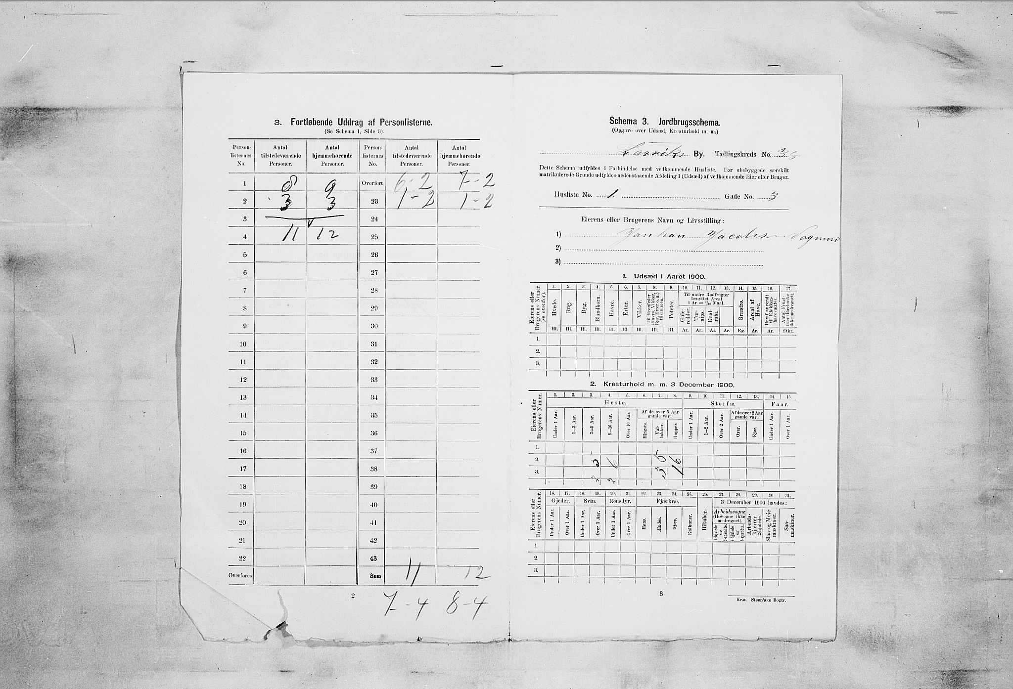 RA, 1900 census for Larvik, 1900, p. 4960