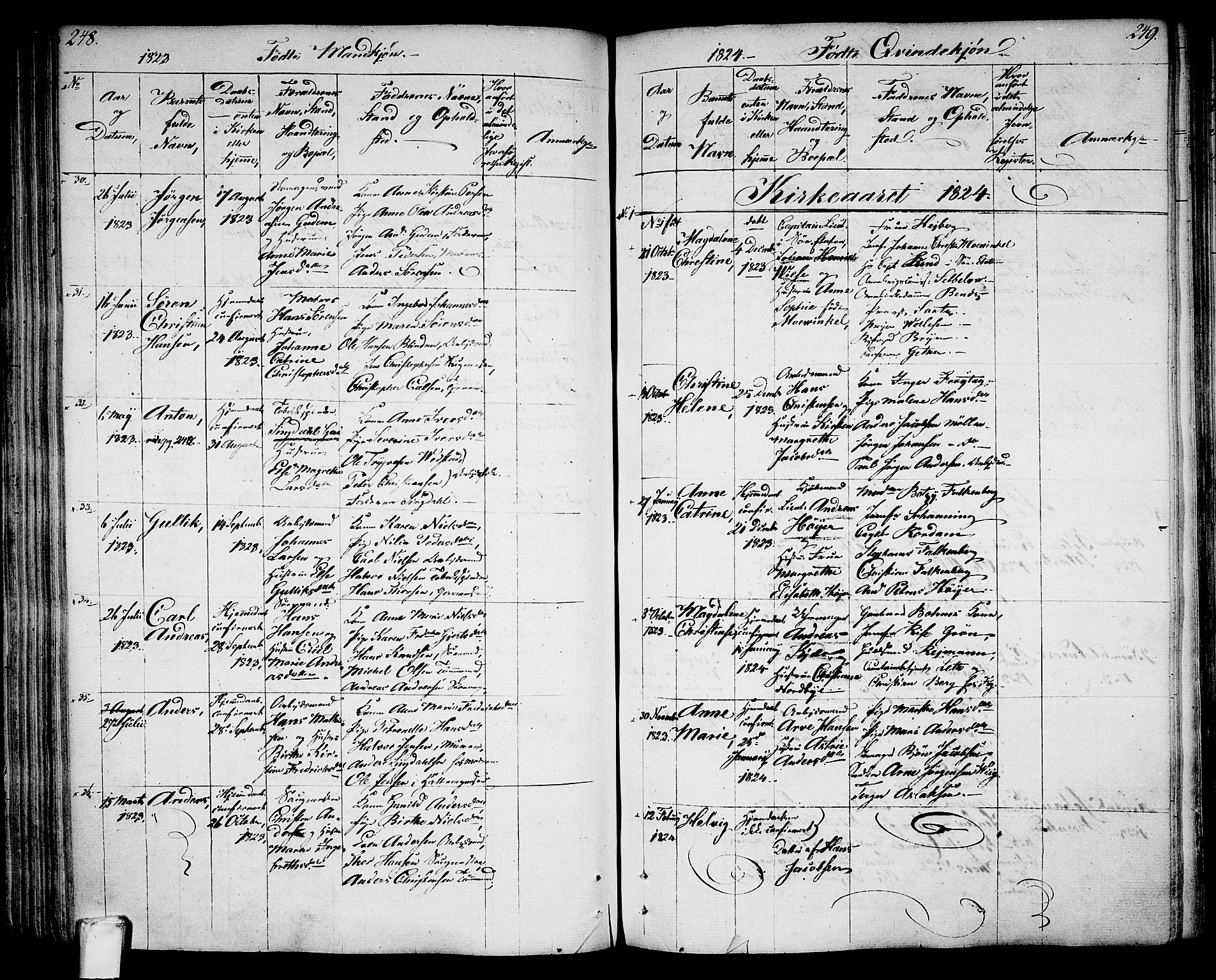 Larvik kirkebøker, AV/SAKO-A-352/G/Ga/L0002: Parish register (copy) no. I 2, 1807-1830, p. 248-249