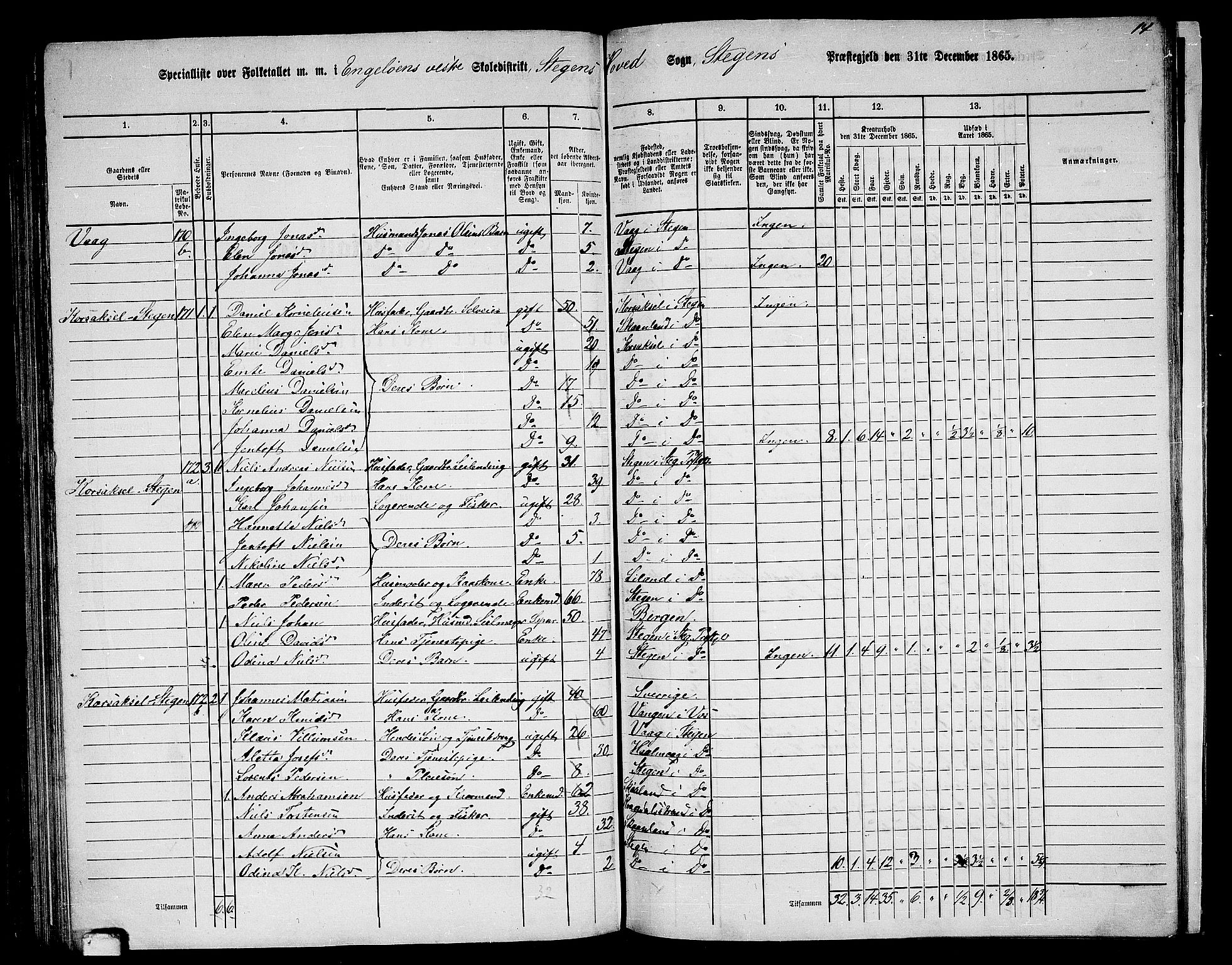 RA, 1865 census for Steigen, 1865, p. 102