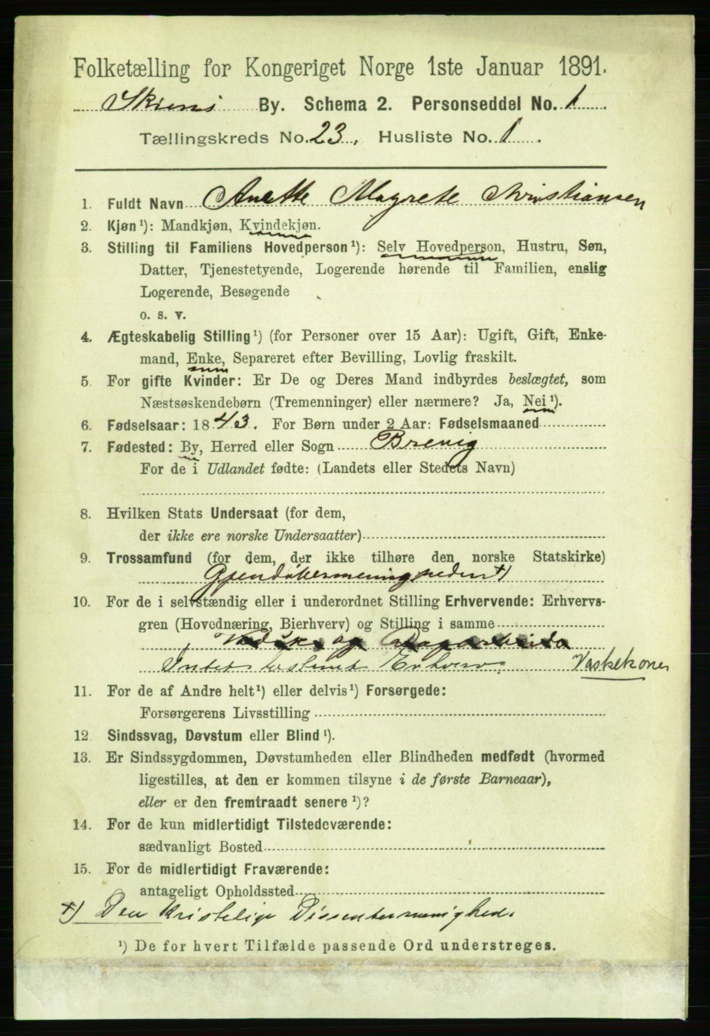 RA, 1891 census for 0806 Skien, 1891, p. 5815