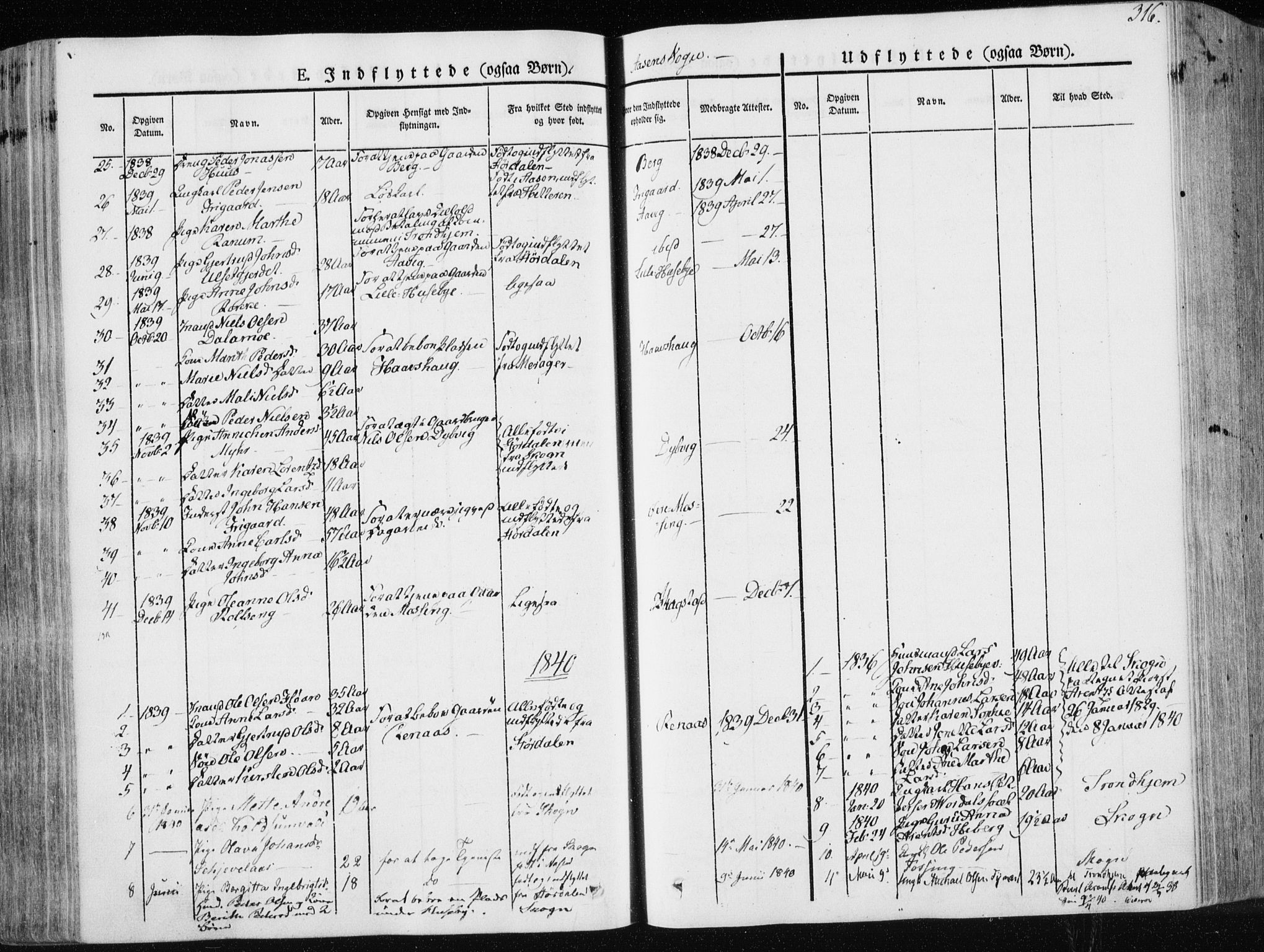 Ministerialprotokoller, klokkerbøker og fødselsregistre - Nord-Trøndelag, SAT/A-1458/713/L0115: Parish register (official) no. 713A06, 1838-1851, p. 316